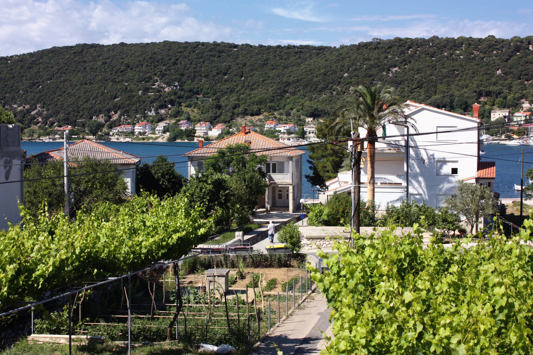 Two bedroom apartment with terrace and sea view Supetarska Draga - Donja, Rab  A-a