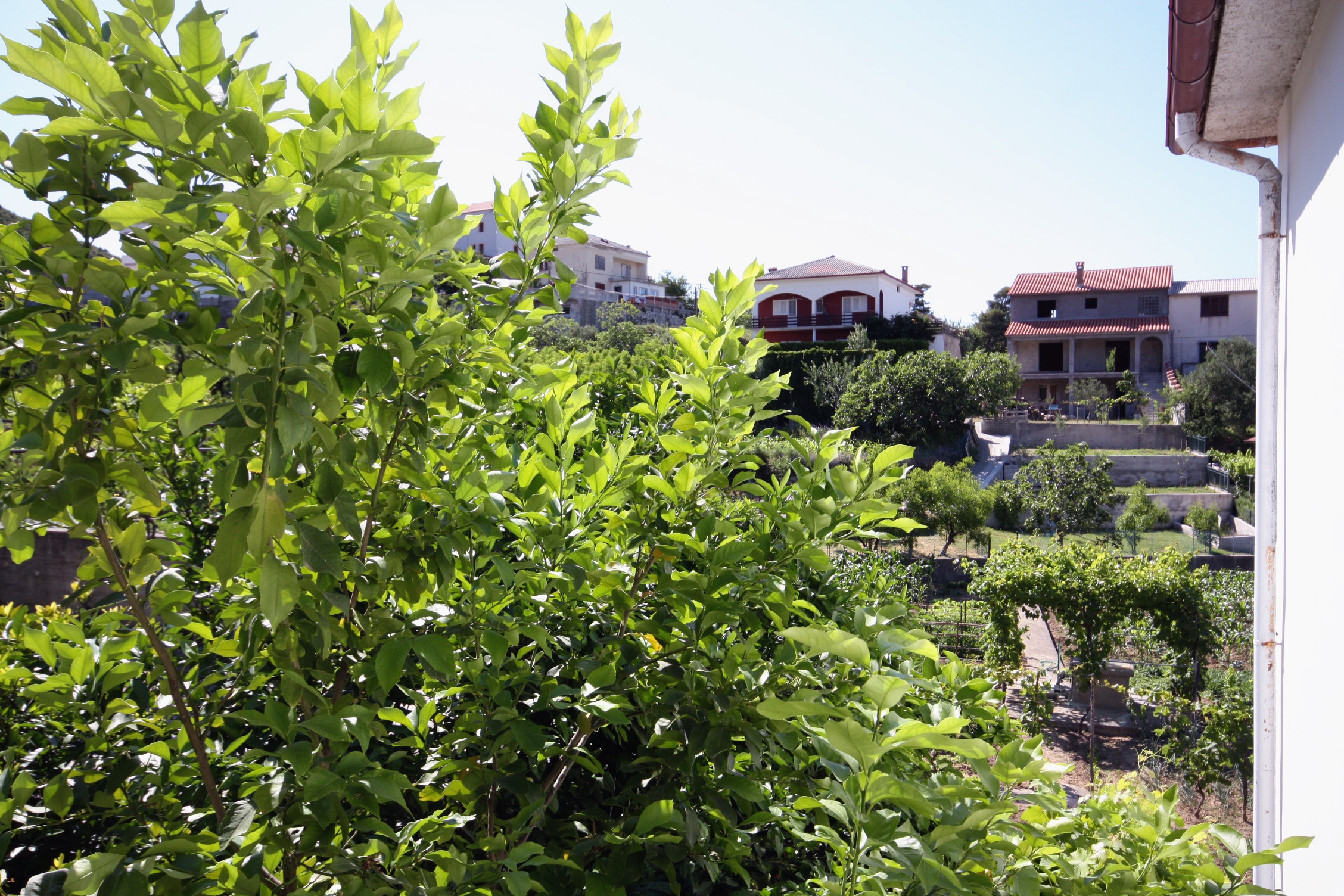 One bedroom apartment with terrace and sea view Supetarska Draga - Donja, Rab  A-b