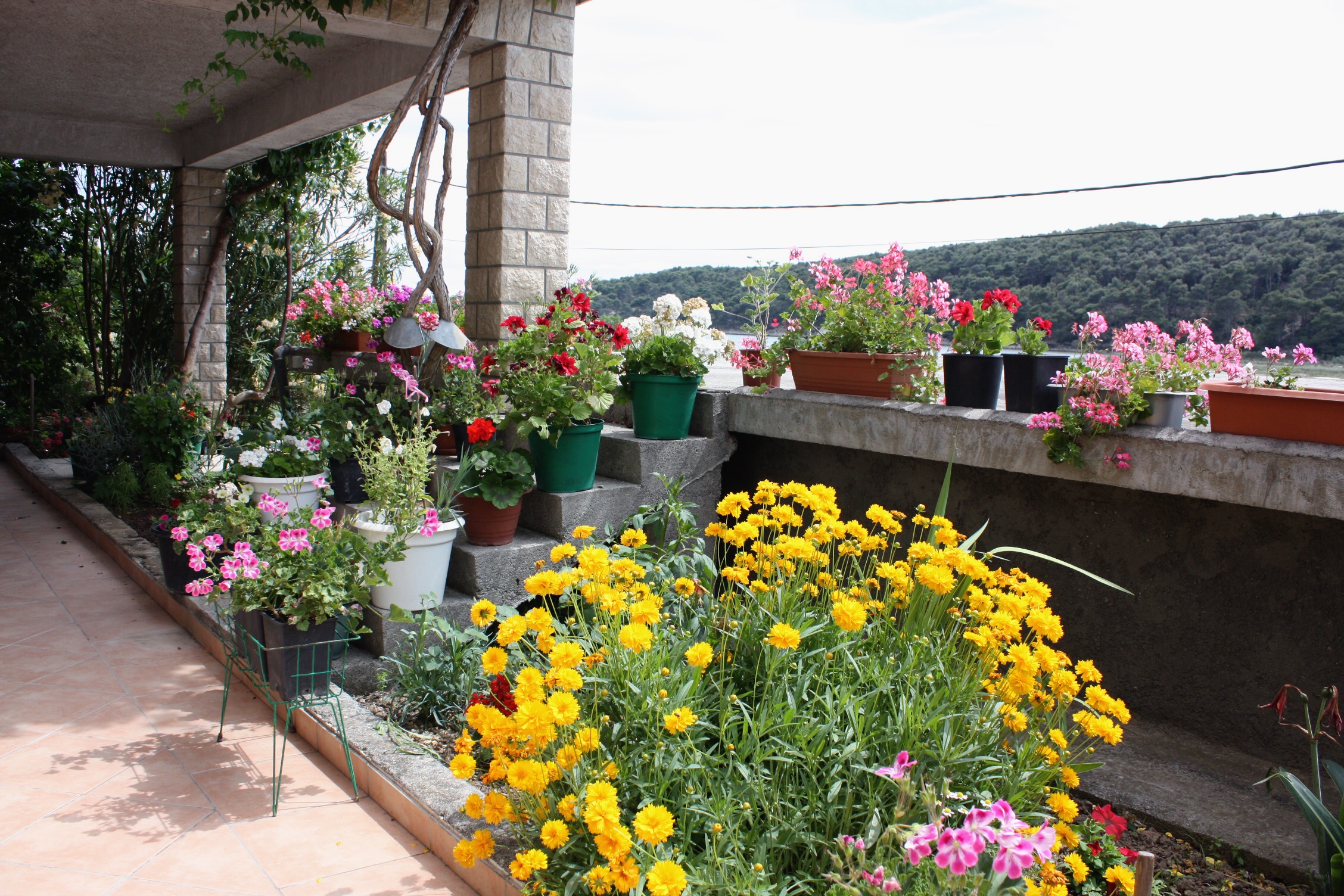 One bedroom apartment with terrace and sea view Kampor, Rab (A-4984-b)