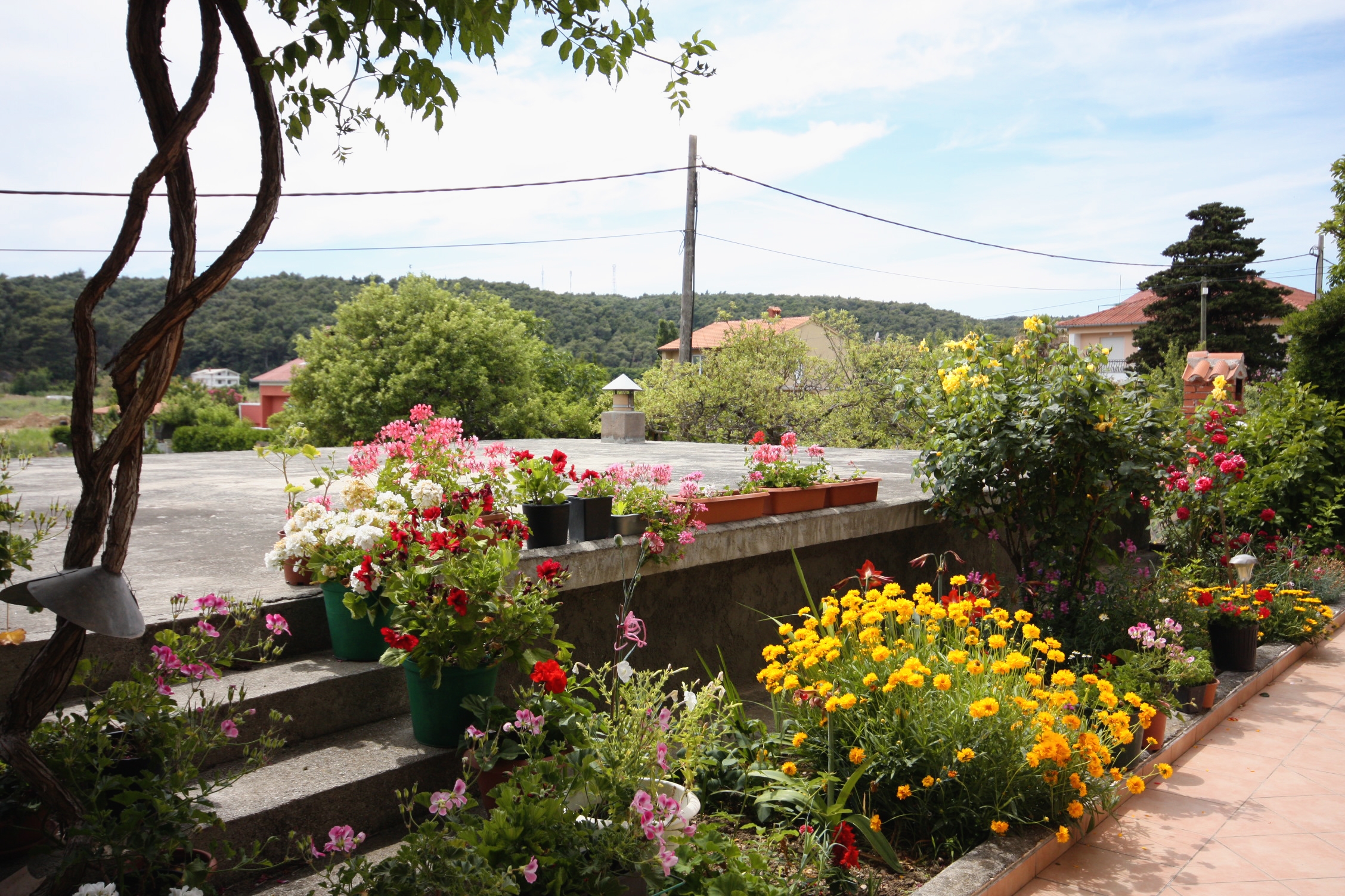 Top Rab Kampor Top Rab Kampor