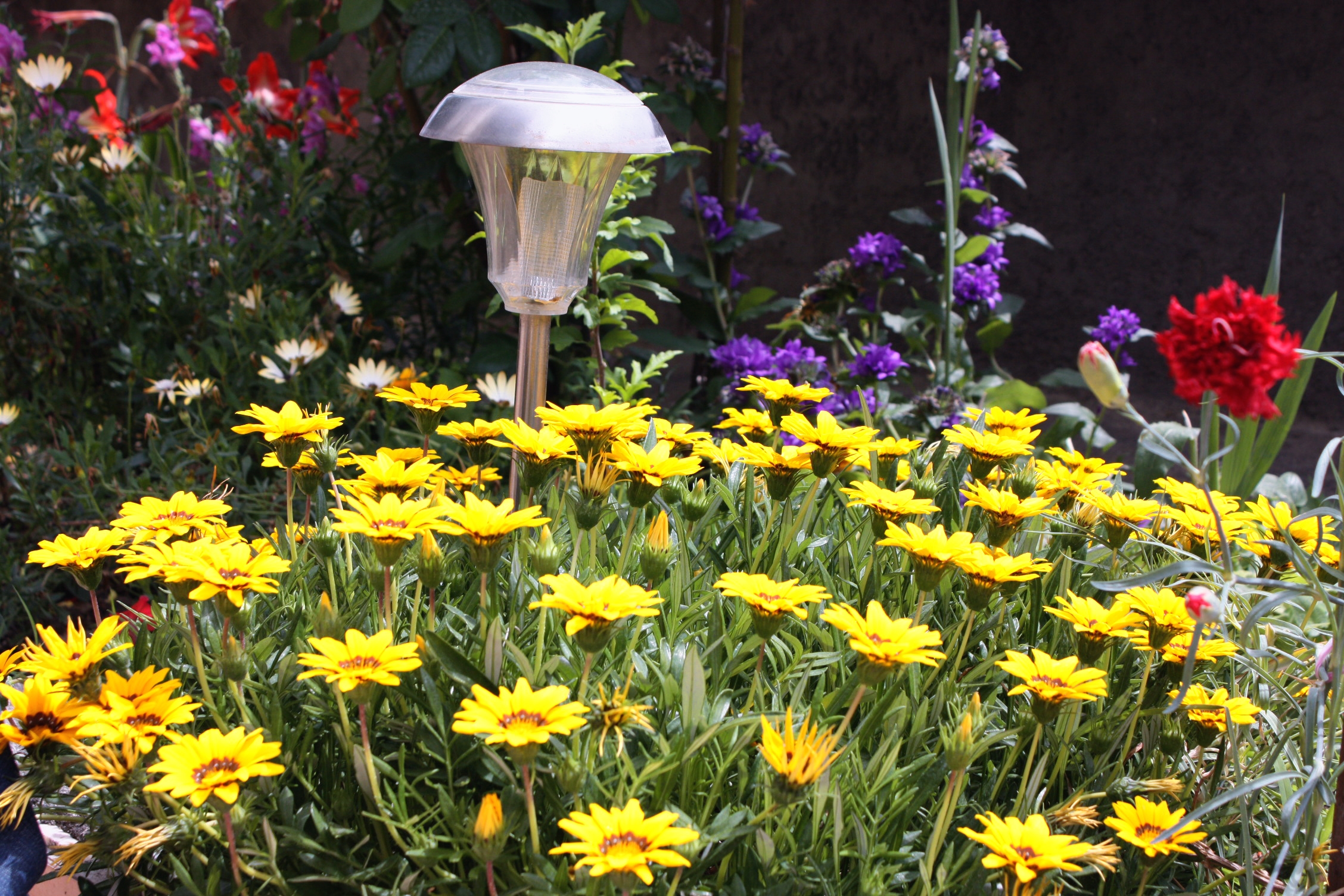 Two bedroom apartment with terrace and sea view Kampor, Rab (A-4984-a)