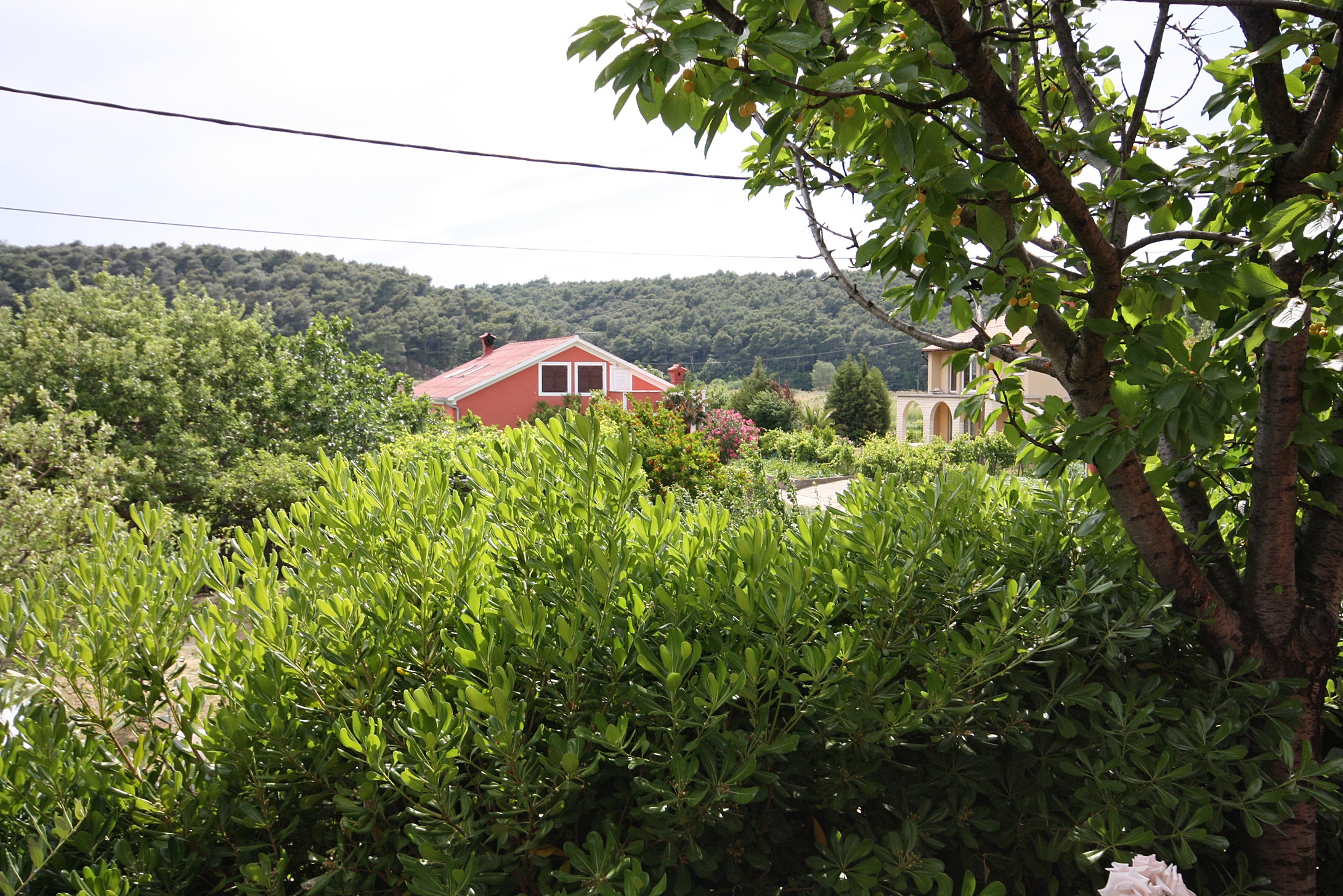 Three bedroom apartment with terrace Kampor, Rab  A-a