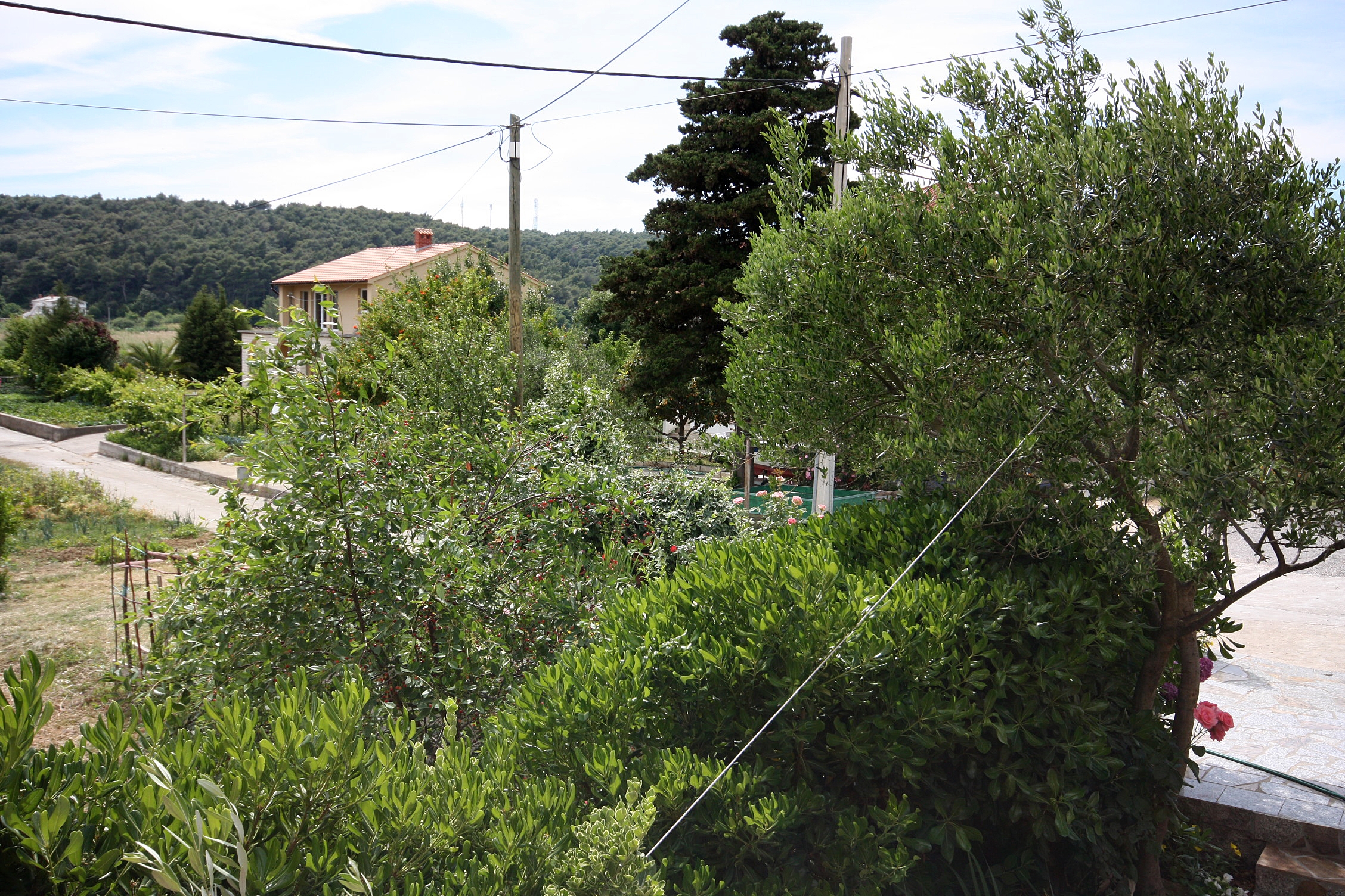 Three bedroom apartment with terrace Kampor, Rab  A-a