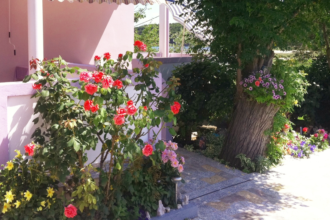 Three bedroom apartment with terrace Kampor, Rab (A-4985-a) Three bedroom apartment with terrace Kampor, Rab (A-4985-a)