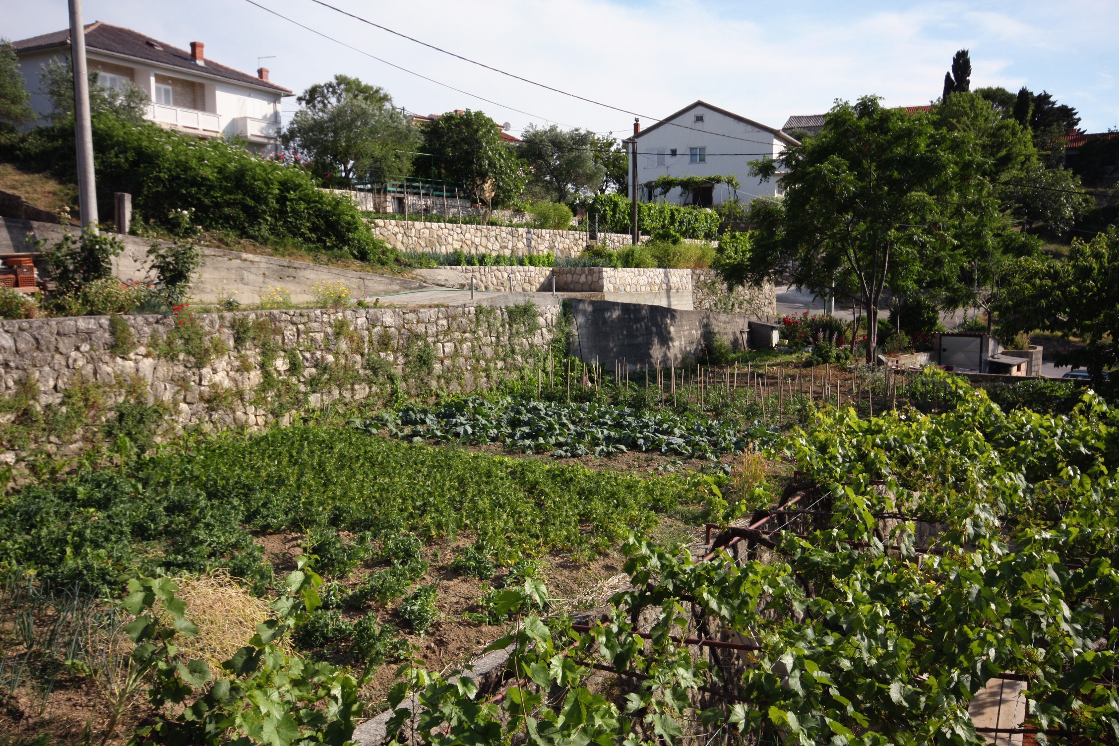 One bedroom apartment with balcony Kampor, Rab  A-b