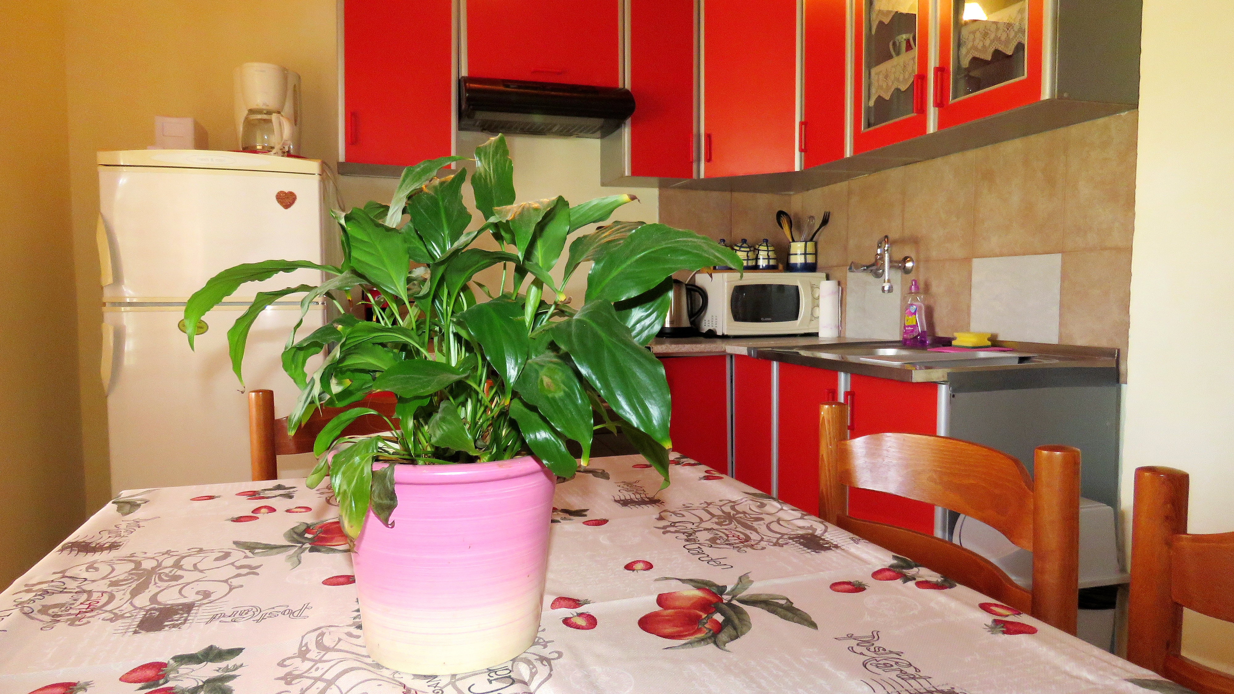 Top Rab Barbat Top Rab Barbat