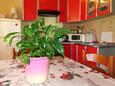 Barbat, Dining room in the apartment, air condition available, (pet friendly) and WiFi.