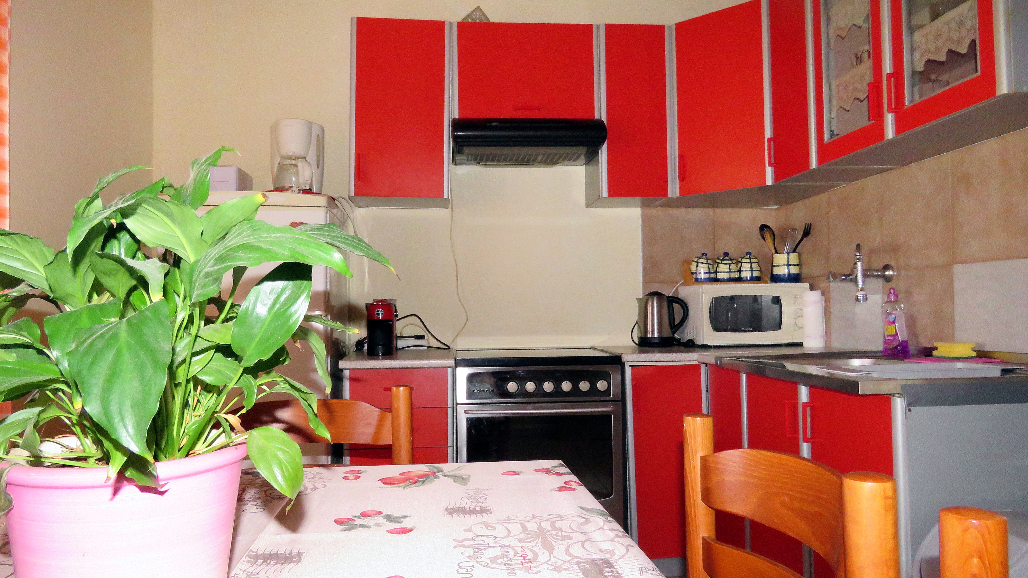 Top Rab Barbat Top Rab Barbat