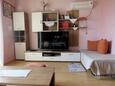 Barbat, Living room in the apartment, air condition available, (pet friendly) and WiFi.