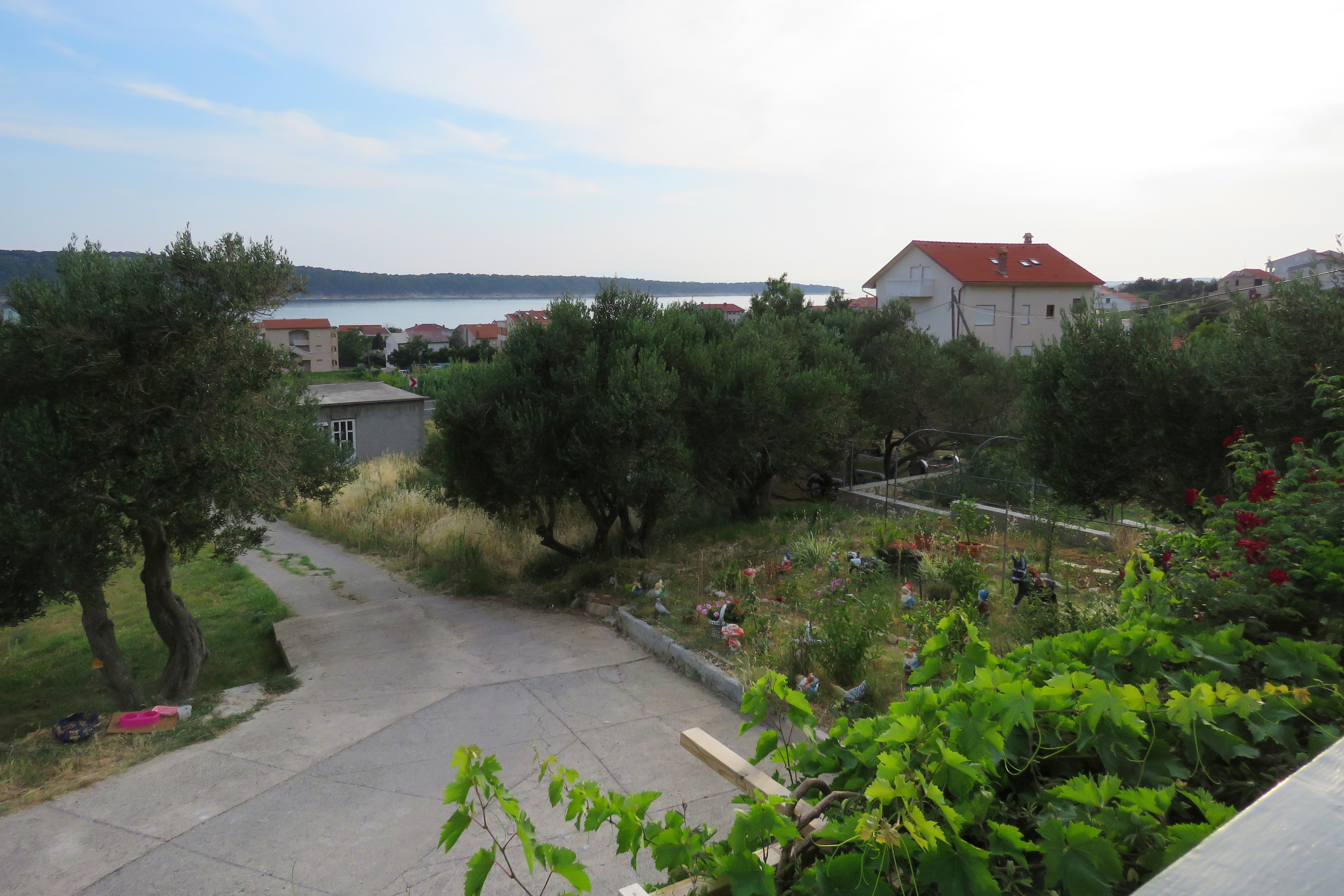 One bedroom apartment with terrace and sea view Barbat, Rab  A-b