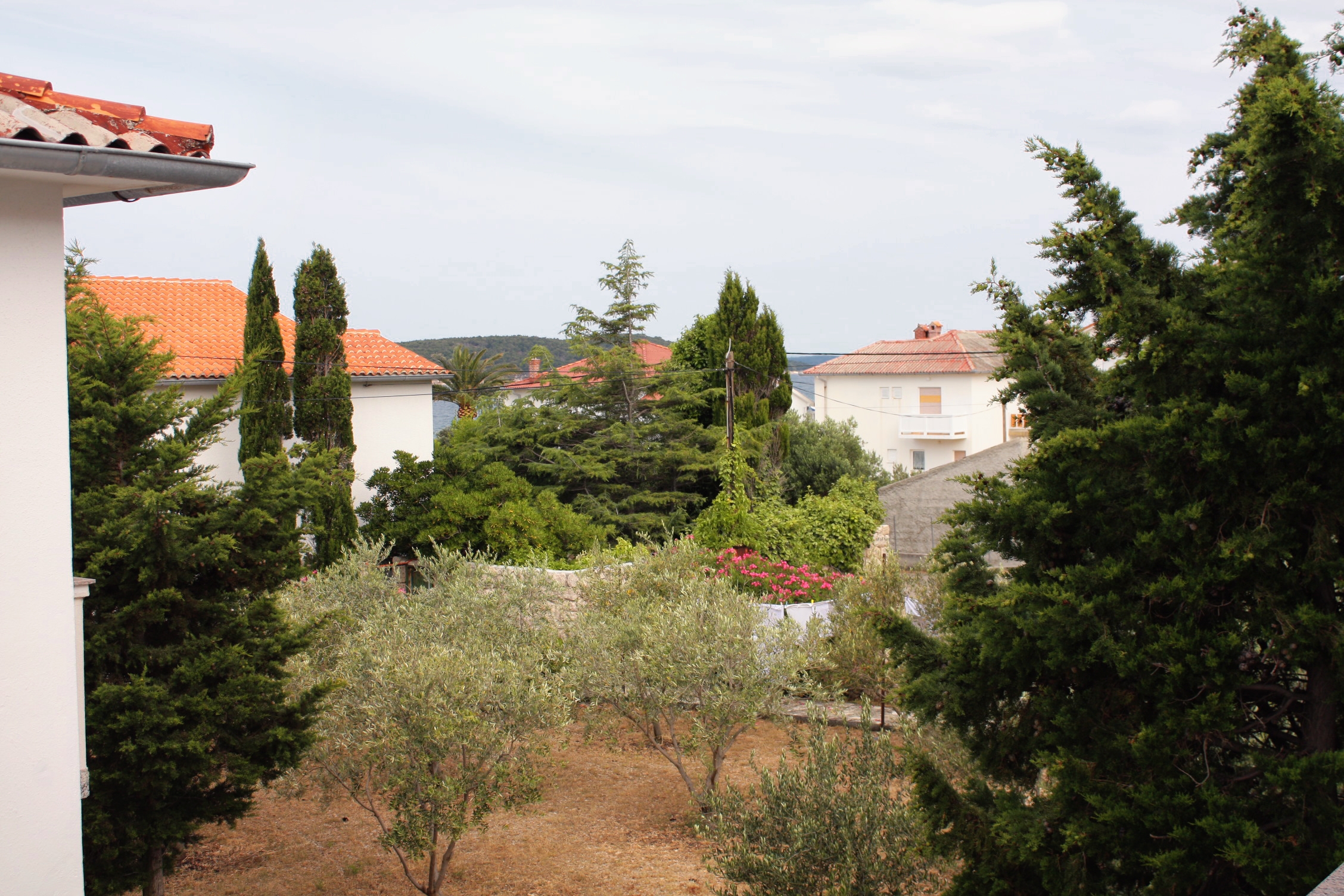 Two bedroom apartment with balcony and sea view Barbat, Rab  A-a
