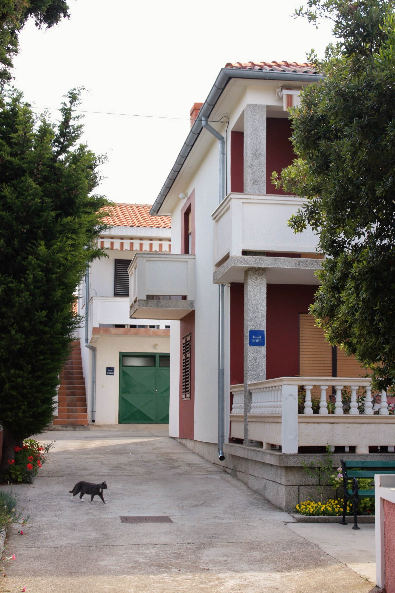 Top Rab Barbat Top Rab Barbat