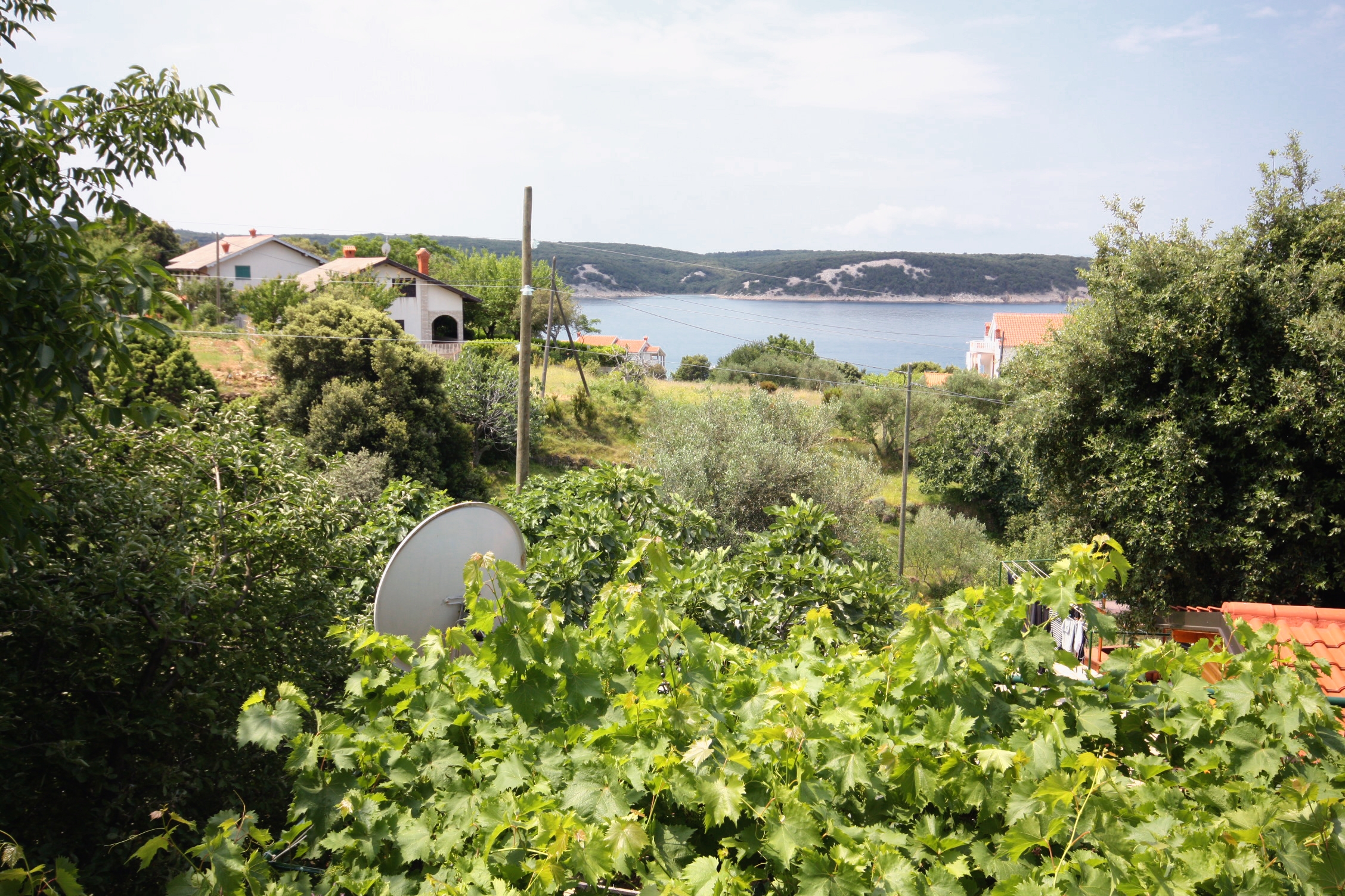 Two bedroom apartment with balcony and sea view Supetarska Draga - Gonar, Rab  A-a