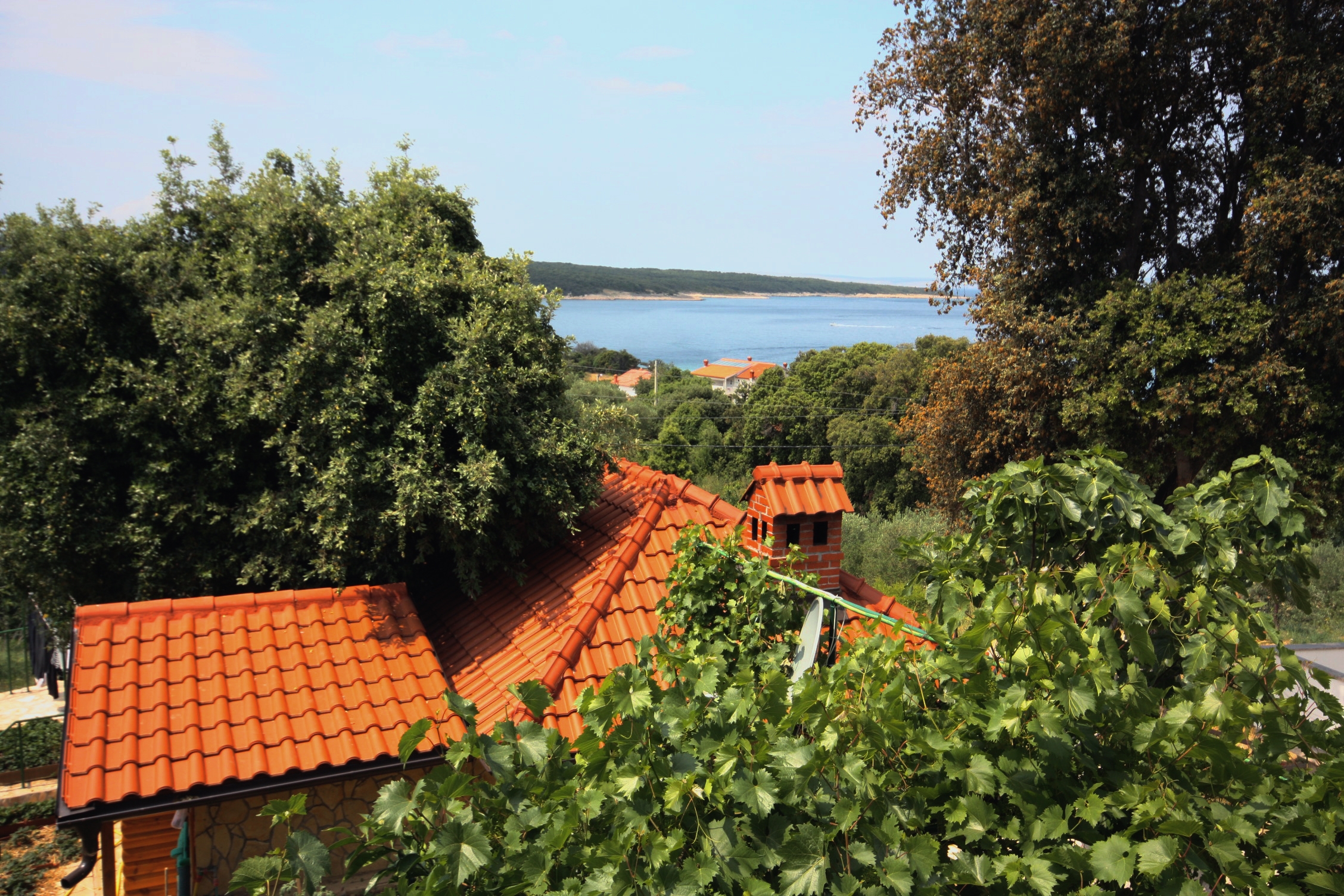 Two bedroom apartment with balcony and sea view Supetarska Draga - Gonar, Rab  A-a