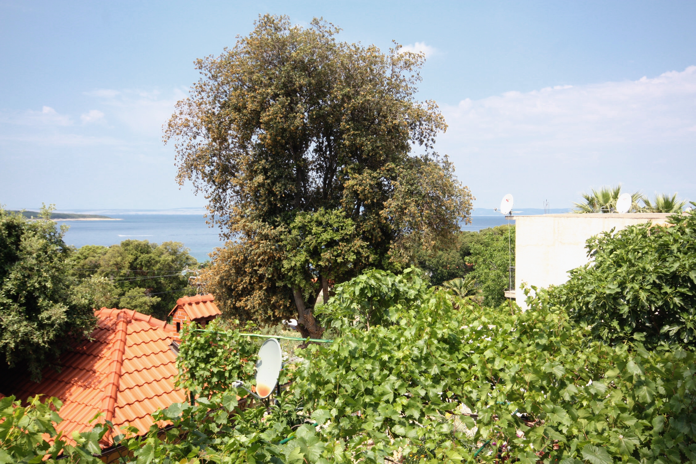 Two bedroom apartment with balcony and sea view Supetarska Draga - Gonar, Rab  A-a