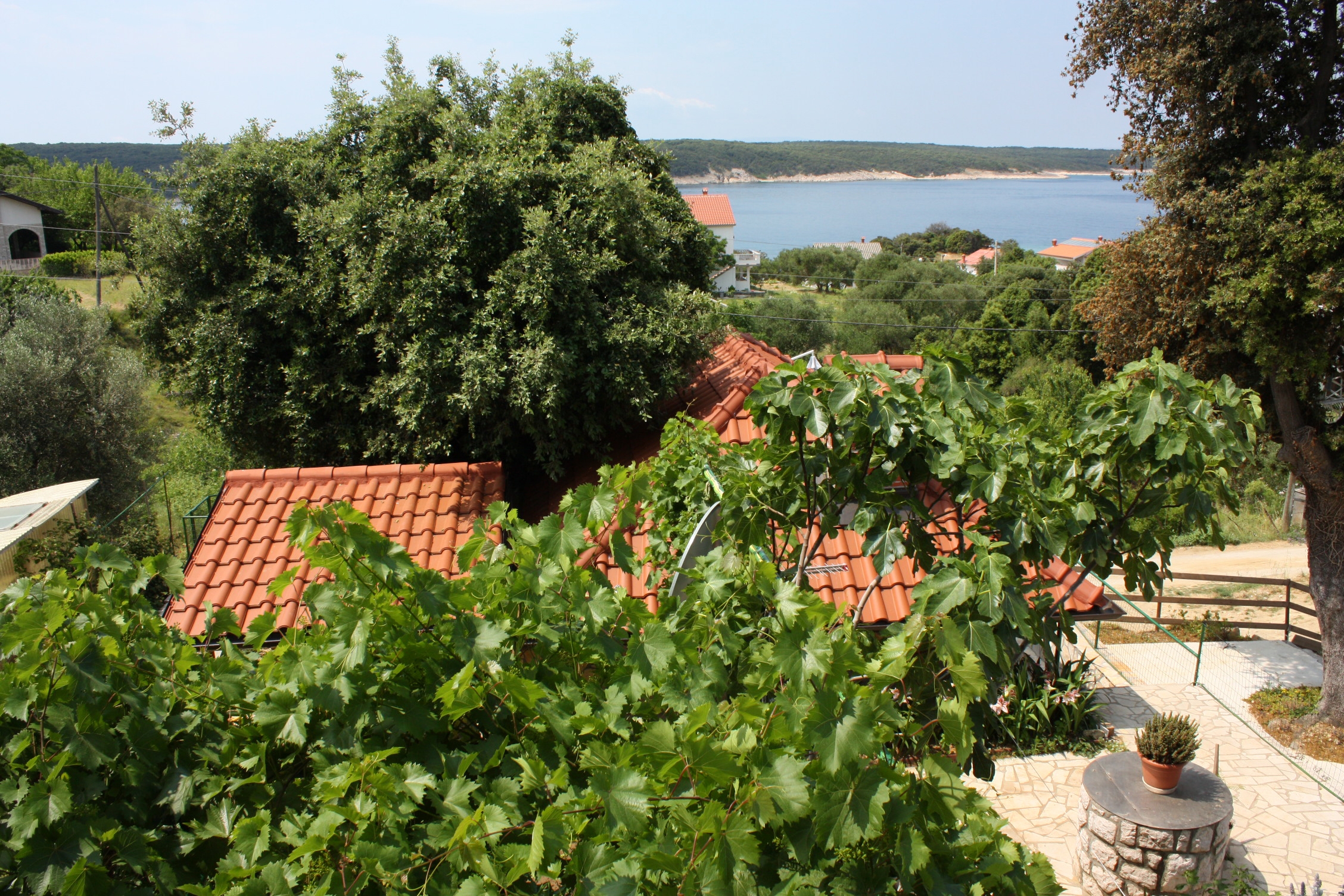 One bedroom apartment with balcony and sea view Supetarska Draga - Gonar, Rab  A-b
