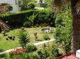 Terrace - view Palit, Terrace - view in the room, WIFI.