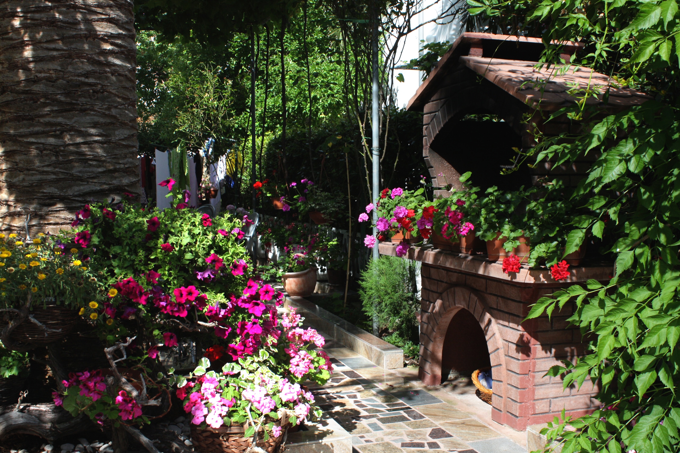 Top Rab Palit Top Rab Palit