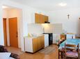 Kuchyně Kampor, Kuchyně v ubytování typu apartment, domácí mazlíčci povoleni a WiFi.