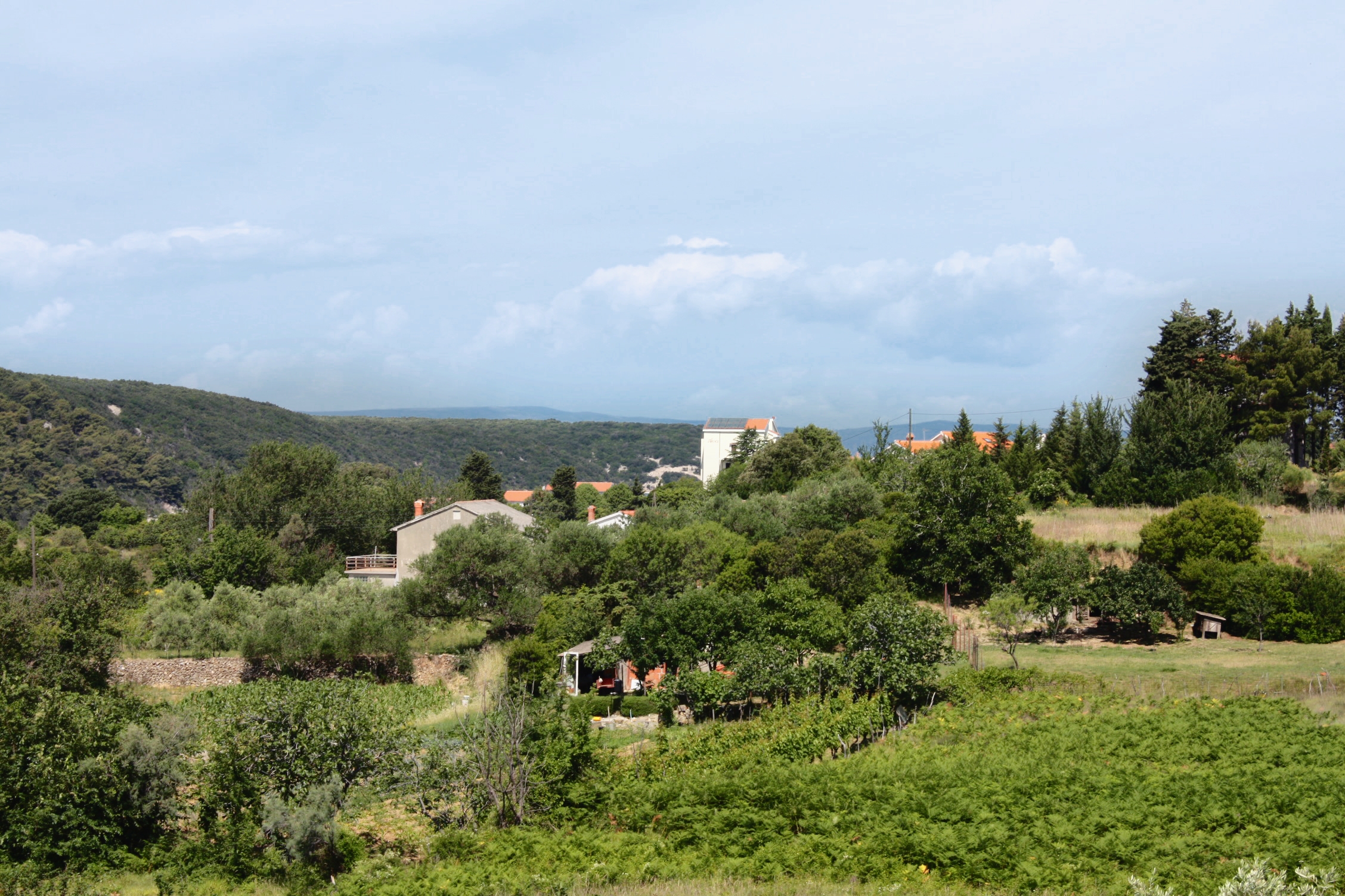 One bedroom apartment with balcony Kampor, Rab  A-b