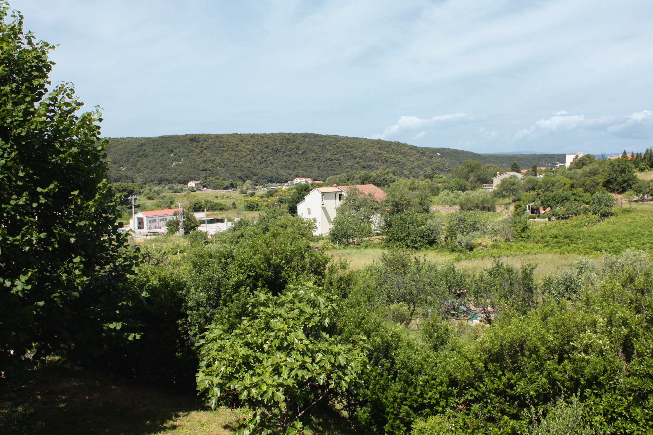 One bedroom apartment with balcony Kampor, Rab  A-b