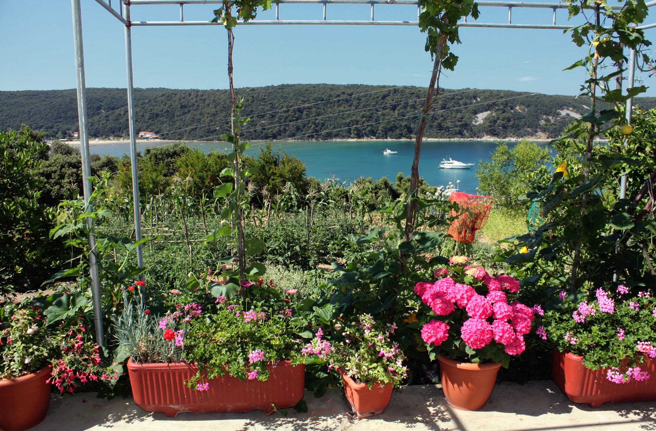 Three bedroom apartment with terrace and sea view Kampor, Rab (A-5032-a)