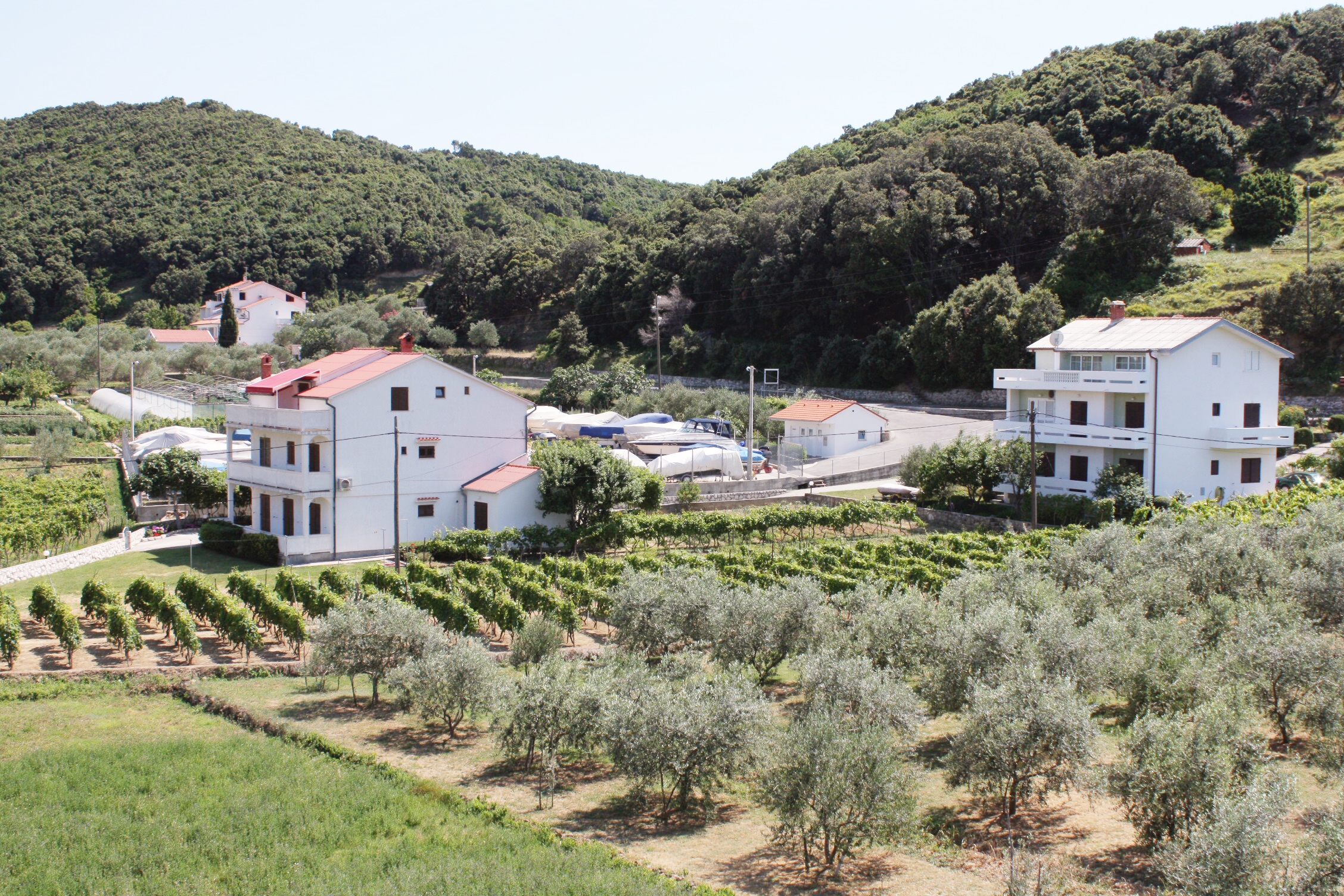 Room with terrace and sea view Supetarska Draga - Donja, Rab  S-b
