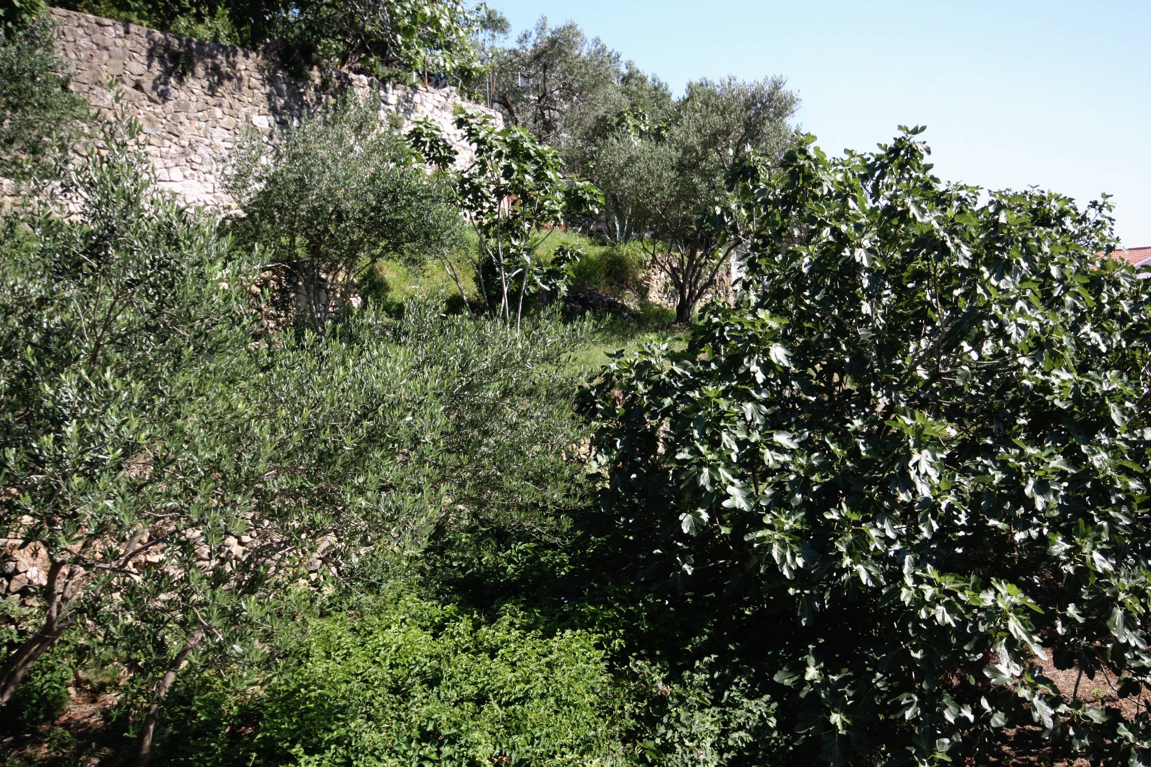 Two bedroom apartment with balcony Palit, Rab  A-a