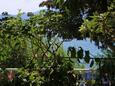 Brist, Terrace - view in the apartment, WiFi.