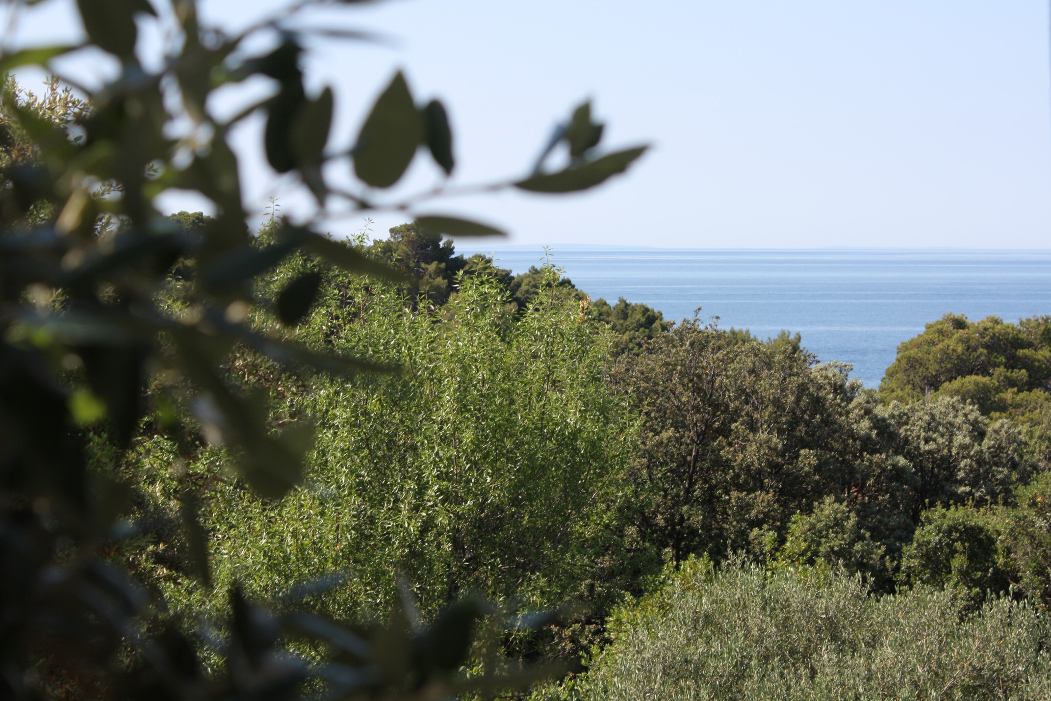 Two bedroom apartment with terrace and sea view Suha Punta, Rab  A-a