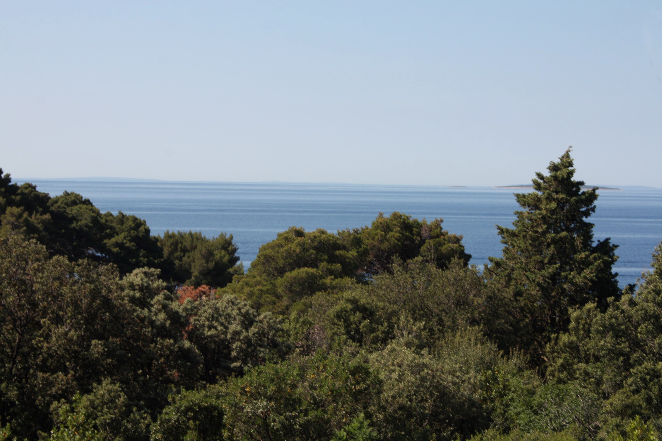 Two bedroom apartment with terrace and sea view Suha Punta, Rab  A-a