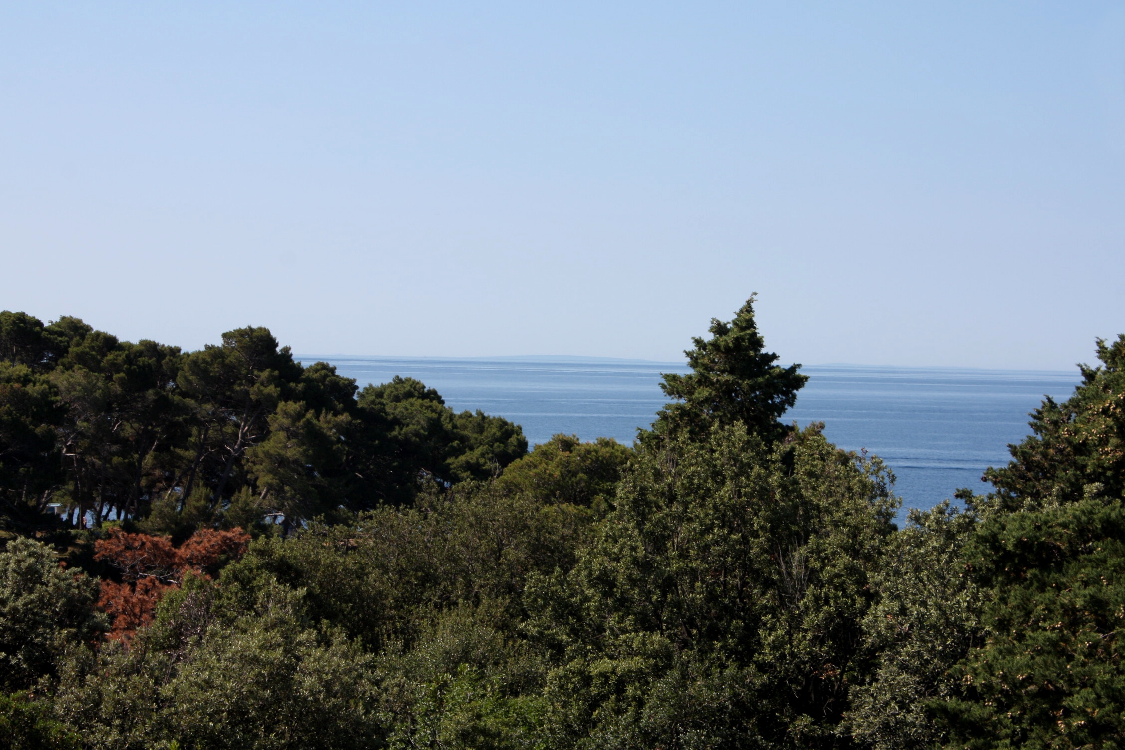 Two bedroom apartment with terrace and sea view Suha Punta, Rab  A-b