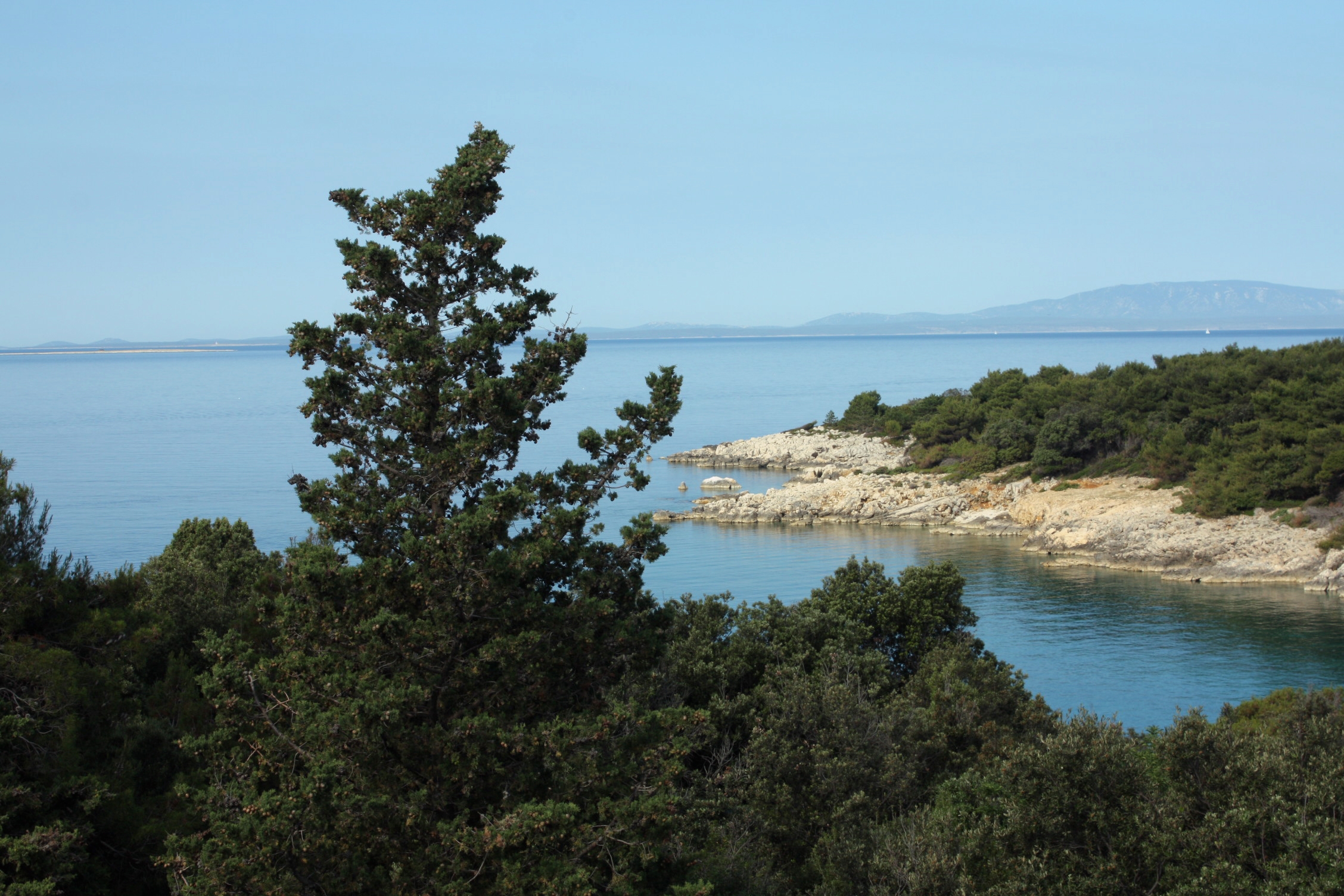 Top Rab Suha Punta Top Rab Suha Punta