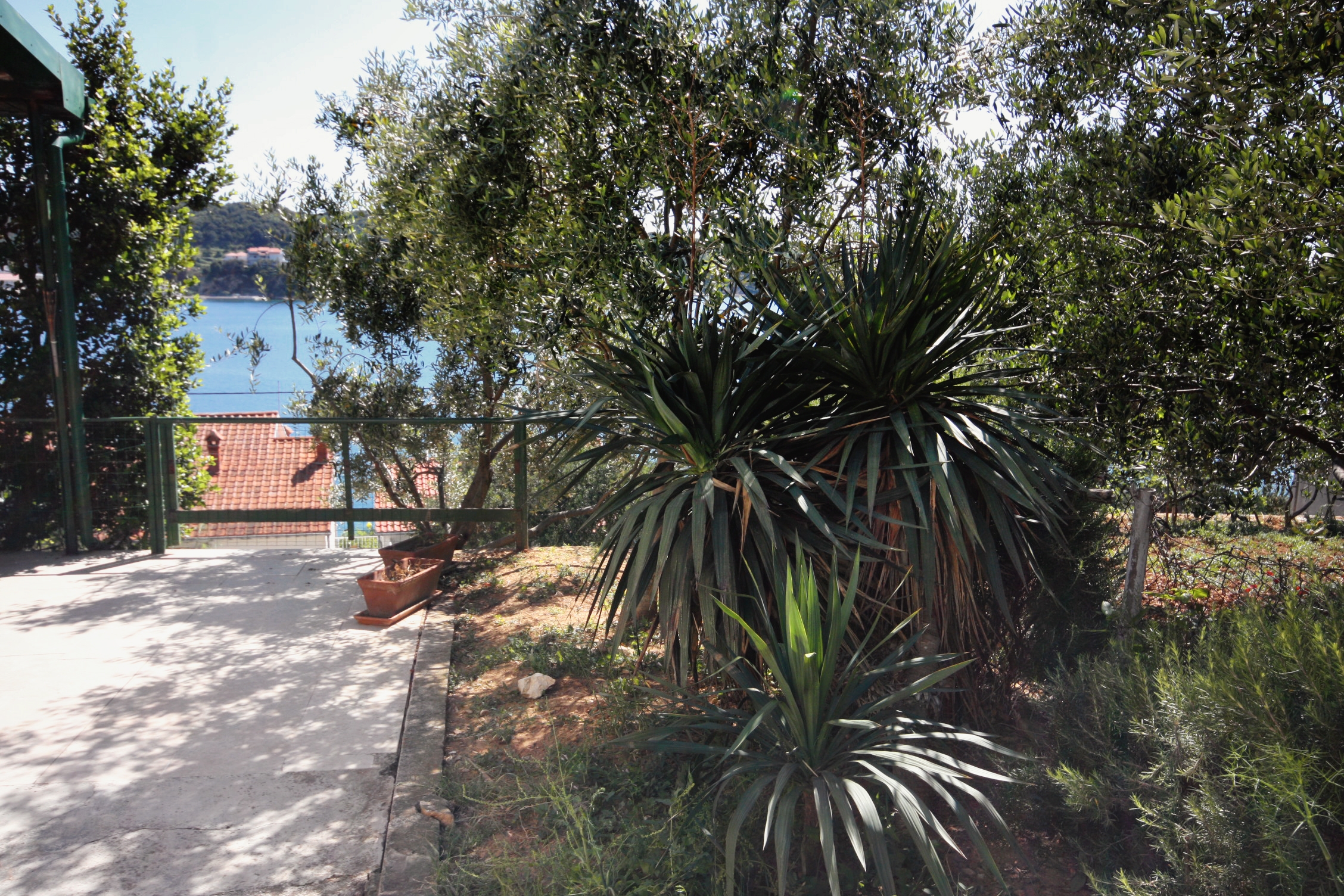 Studio flat with terrace and sea view Supetarska Draga - Gornja, Rab  AS-a