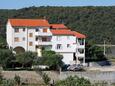 Apartamentos Kampor (Rab) - 5058