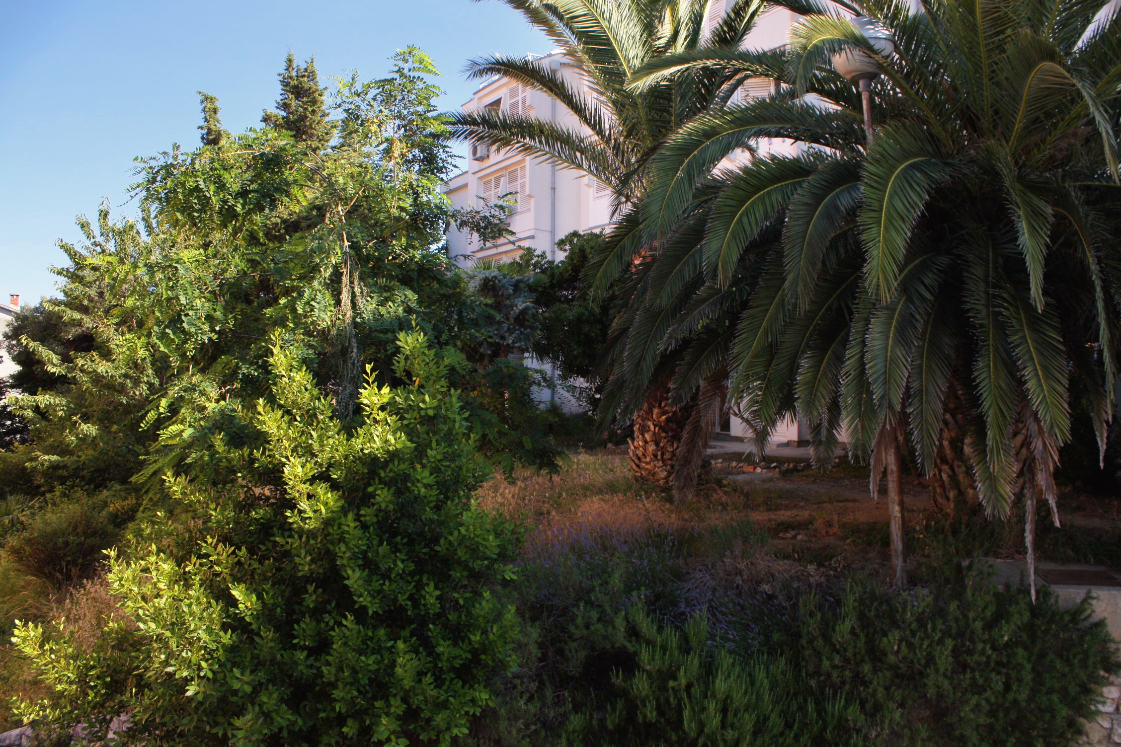 Two bedroom apartment with terrace Palit, Rab  A-a