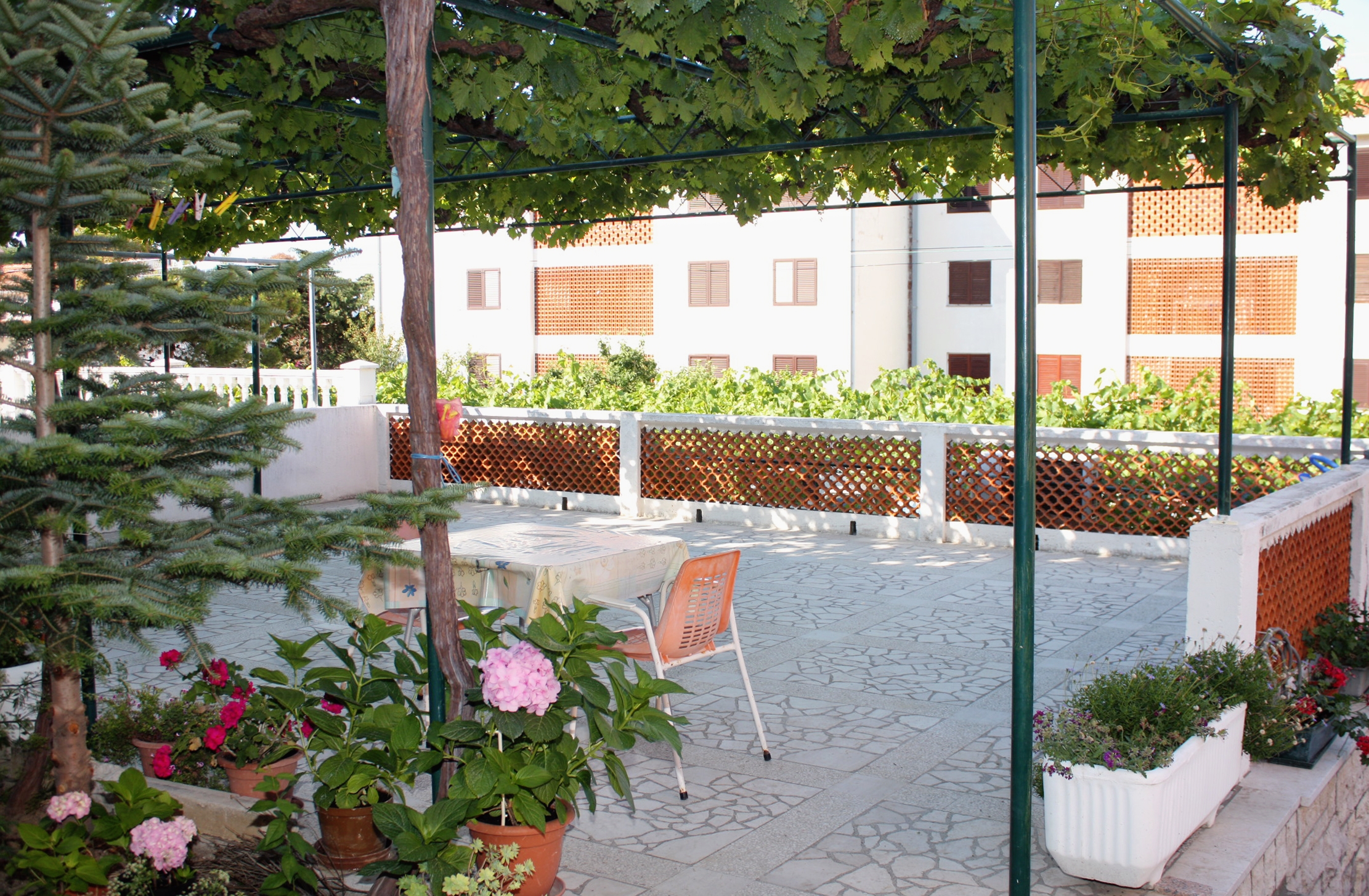 Top Rab Palit Top Rab Palit