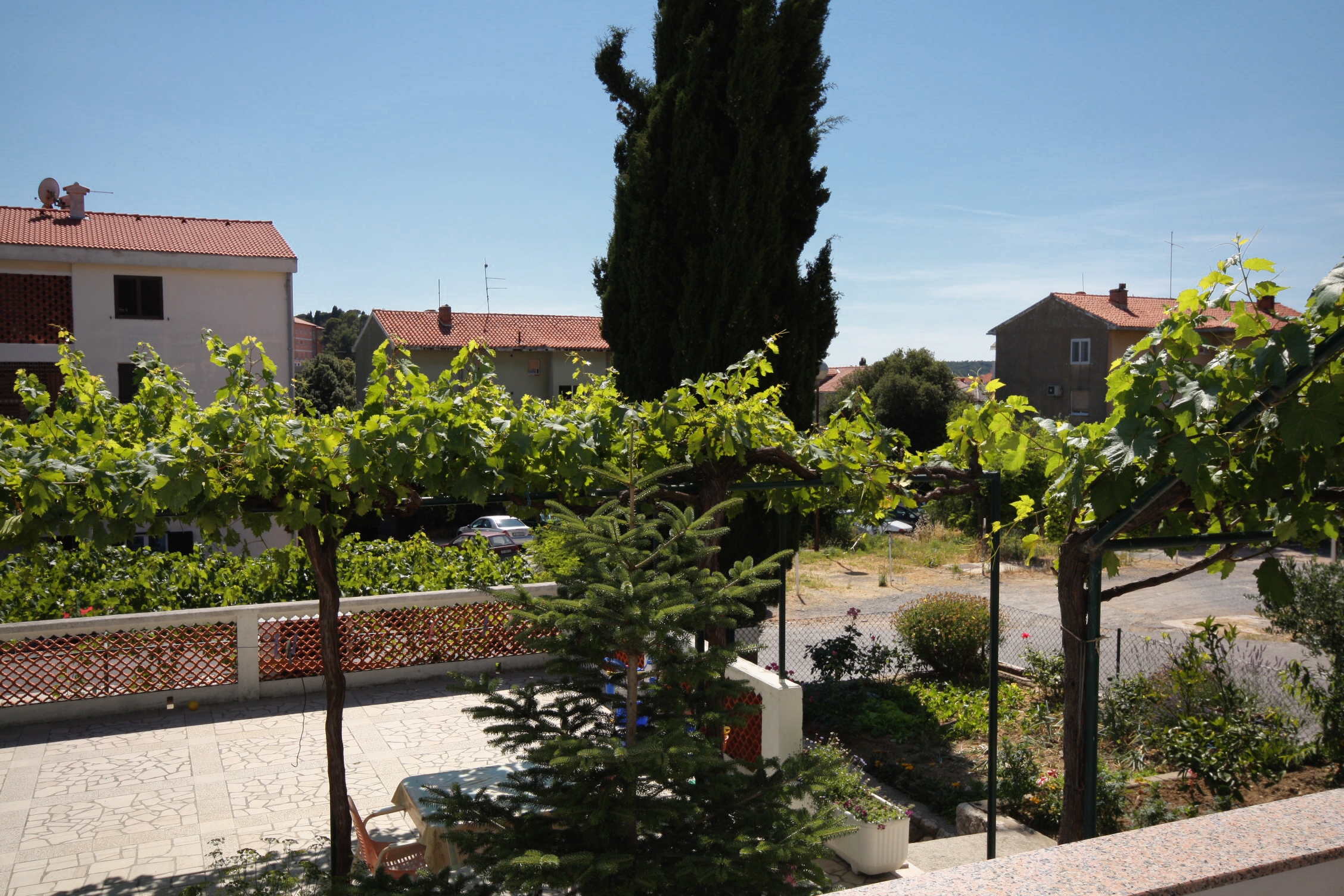 Top Rab Palit Top Rab Palit