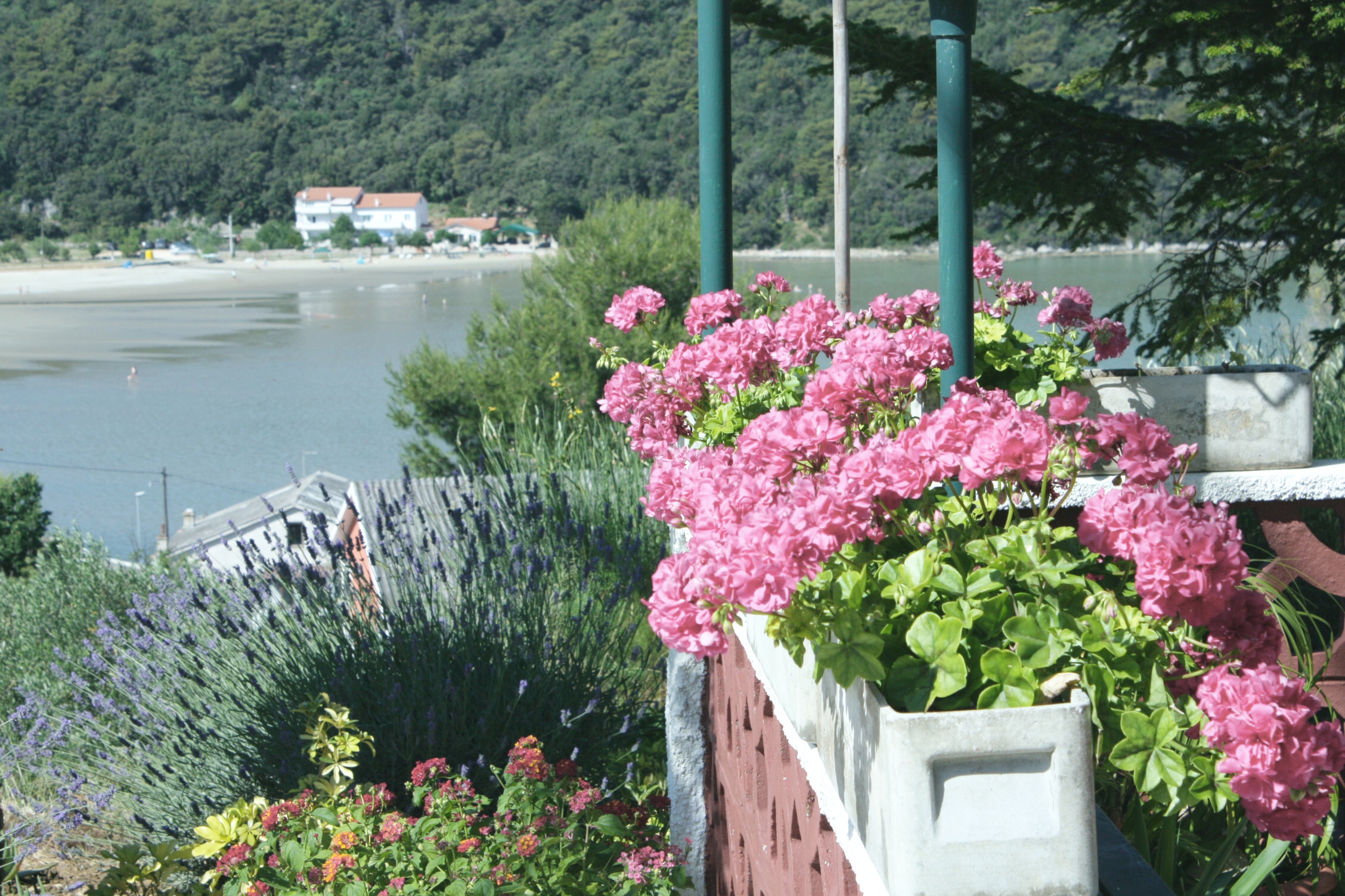 Room with balcony Kampor, Rab (S-5064-b) Room with balcony Kampor, Rab (S-5064-b)