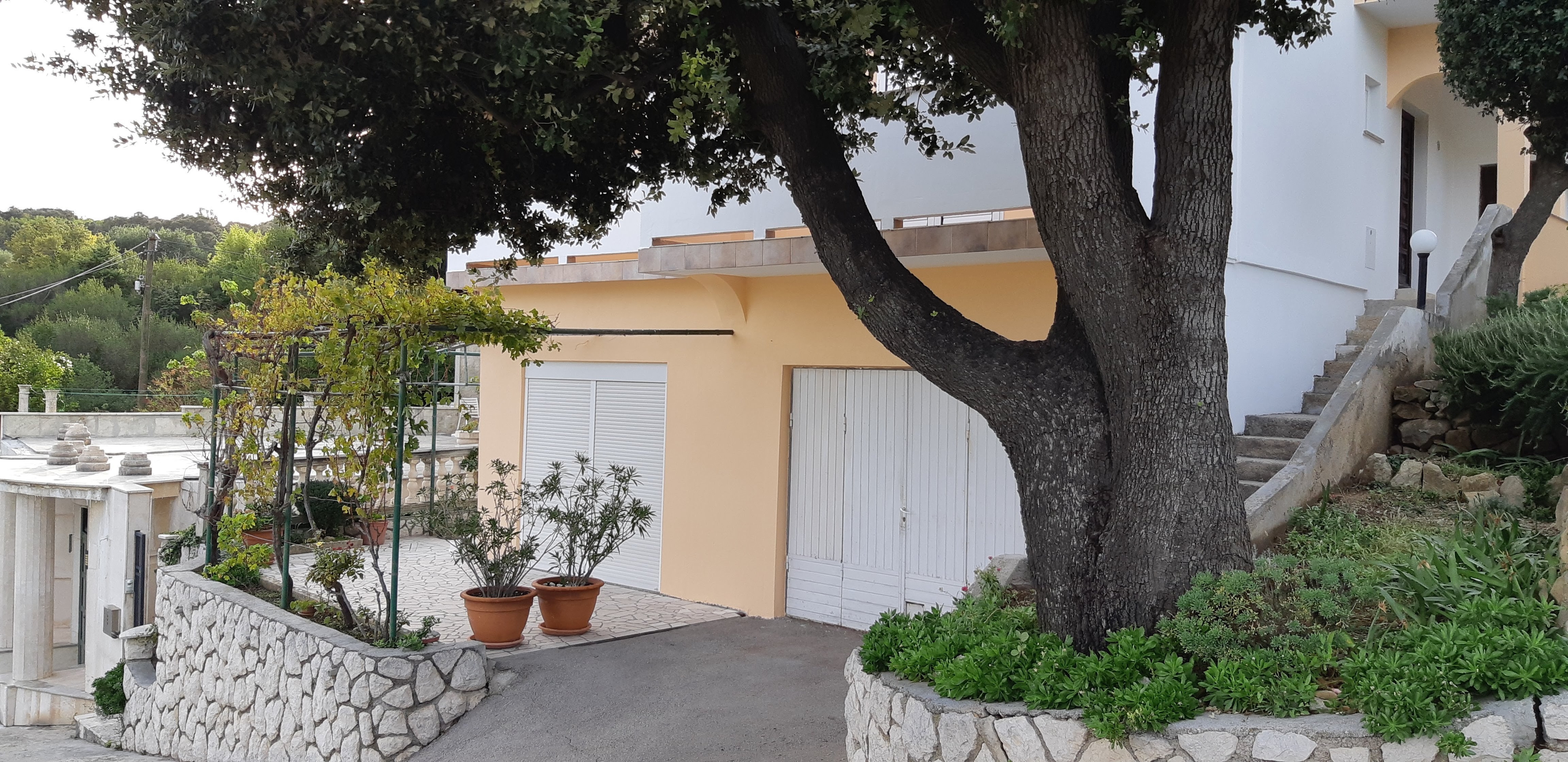 Top Rab Palit Top Rab Palit