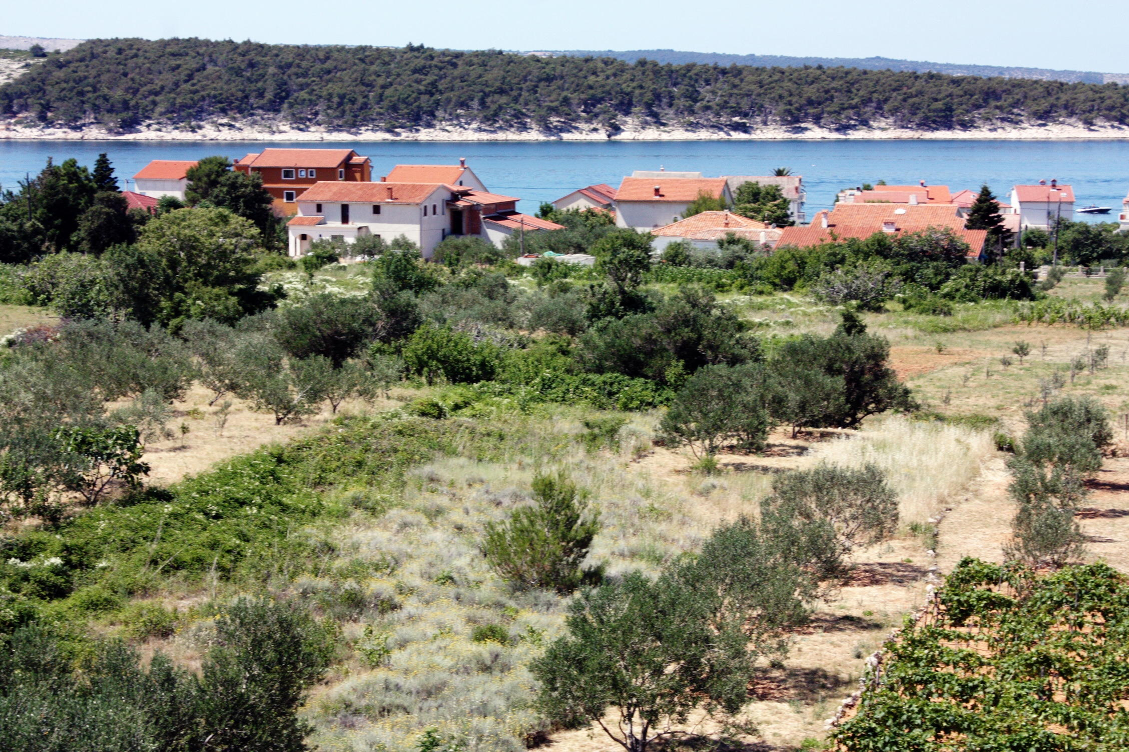 Two bedroom apartment with terrace and sea view Barbat, Rab  A-a