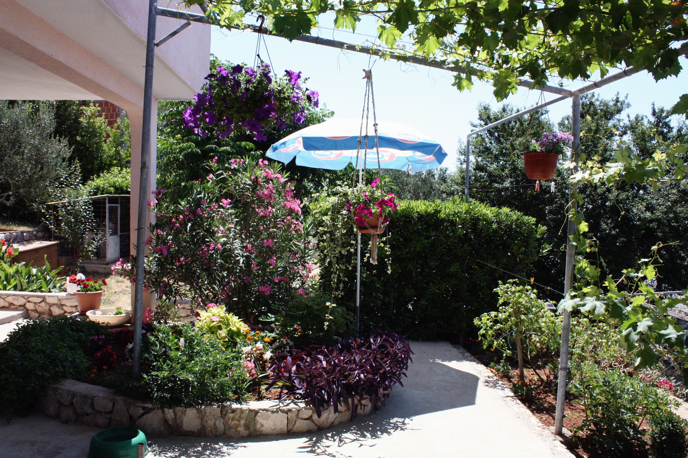 Room (pet friendly) Barbat, Rab (S-5070-c) Room (pet friendly) Barbat, Rab (S-5070-c)