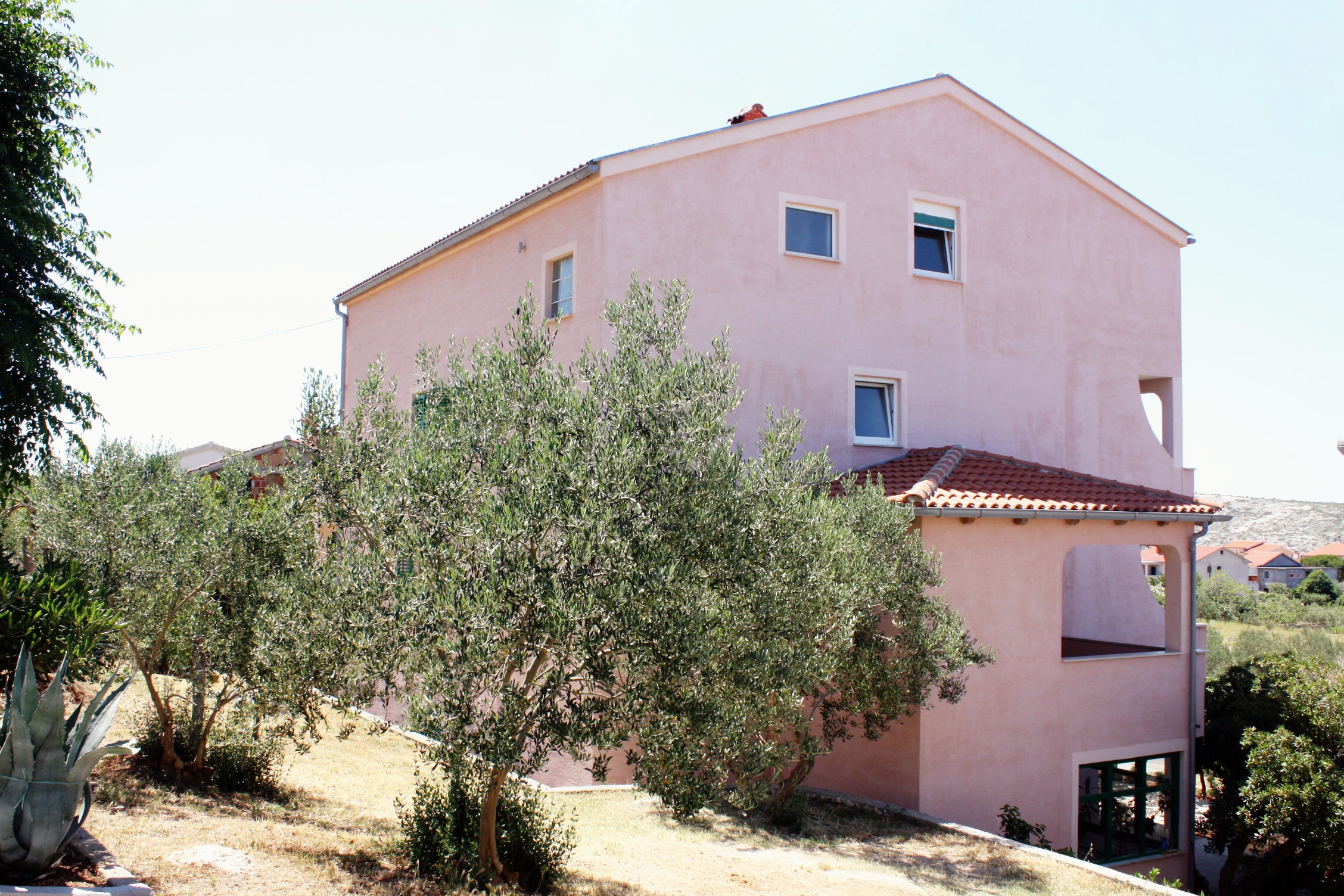 Top Rab Barbat Top Rab Barbat