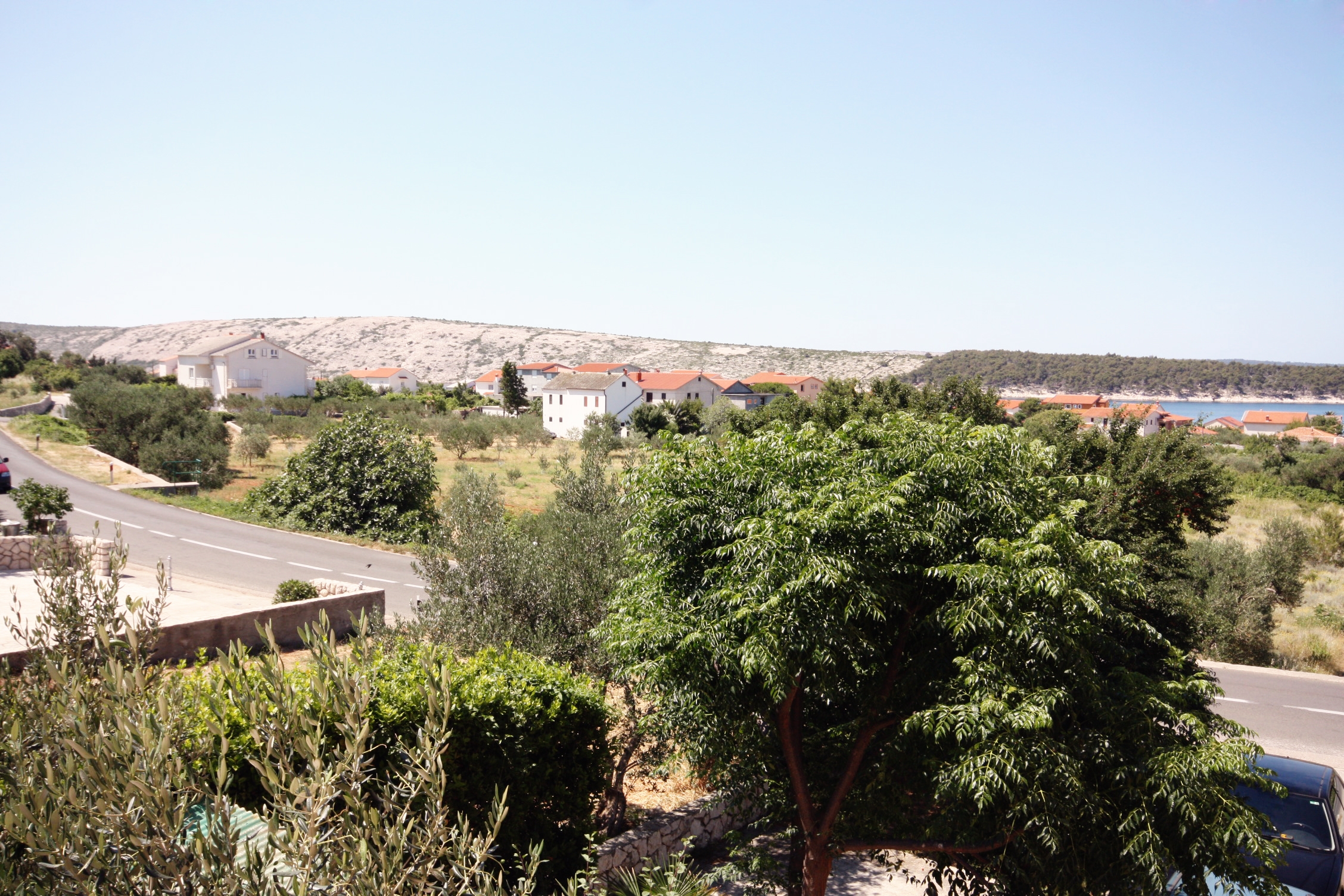 Top Rab Barbat Top Rab Barbat