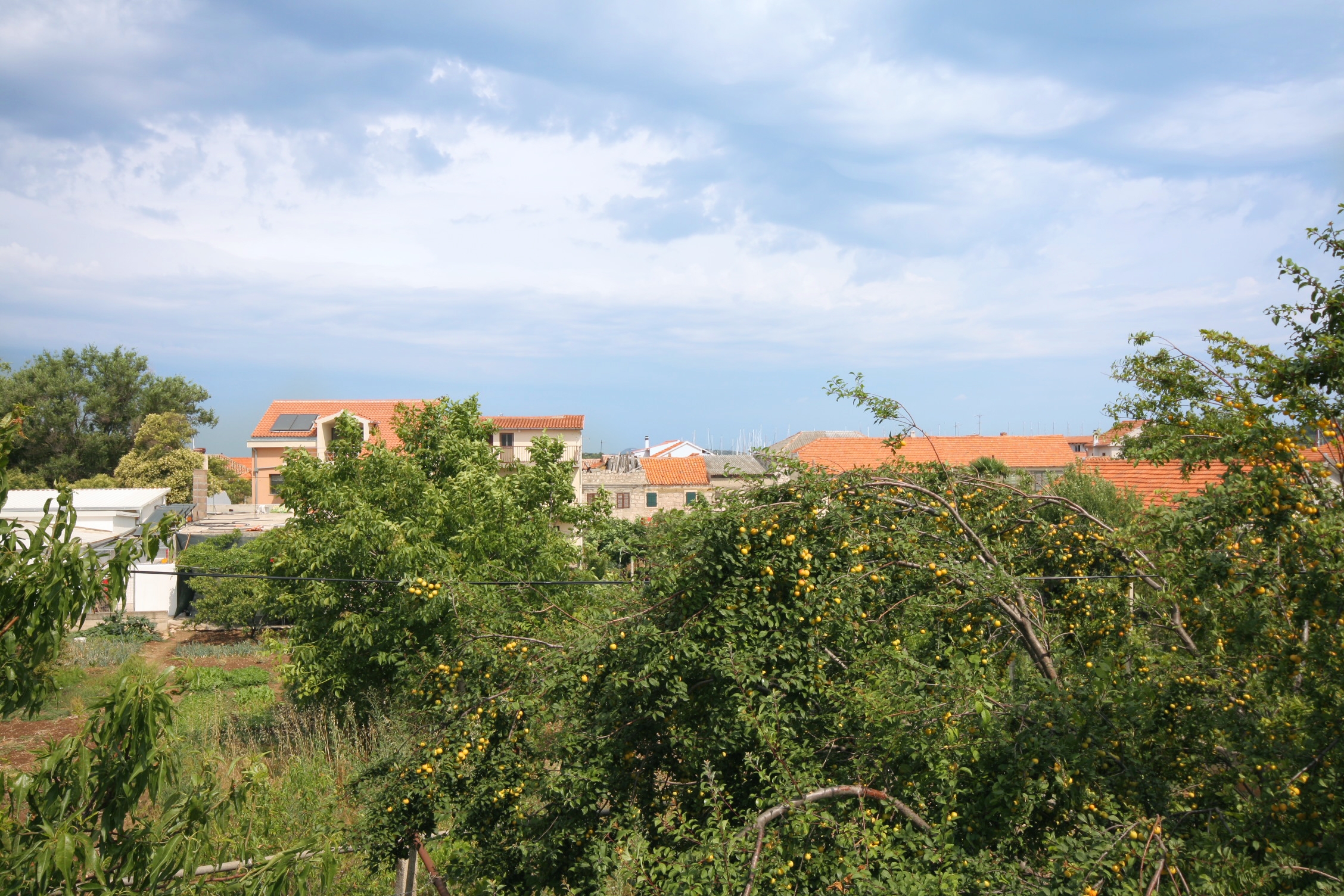 One bedroom apartment with terrace Murter  A-a