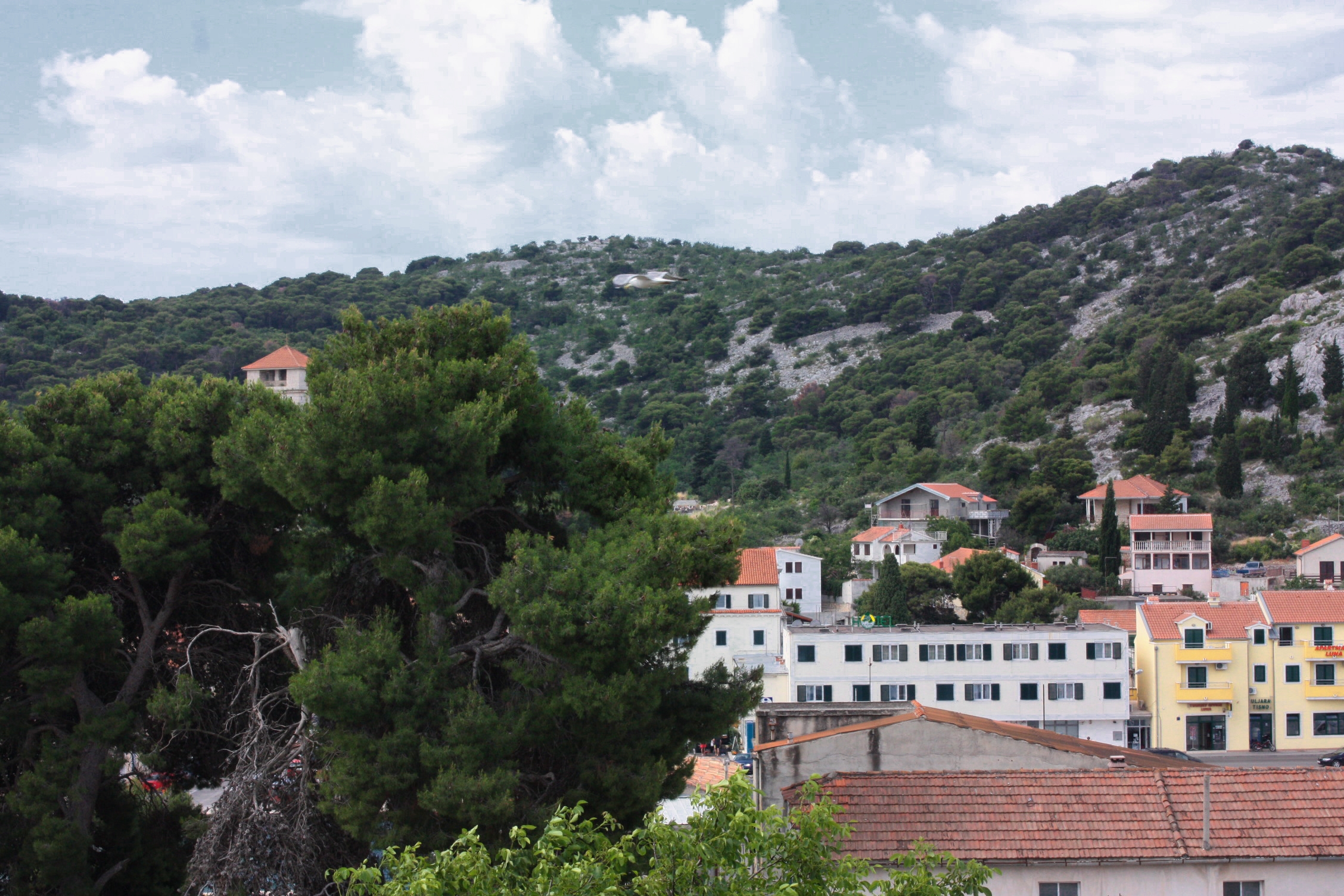 Three bedroom house with terrace and sea view Tisno, Murter  K