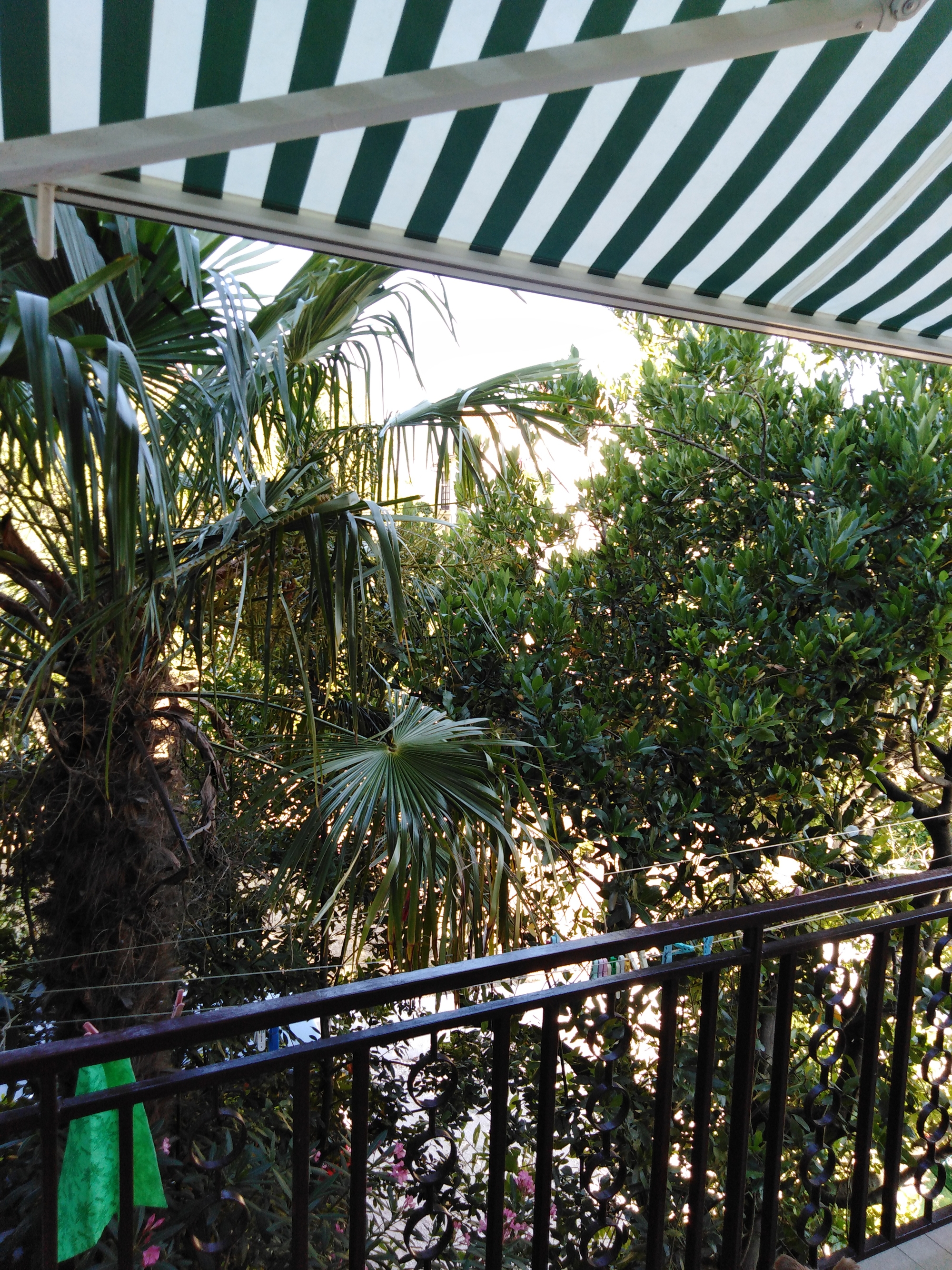 Three bedroom apartment with terrace Murter  A-a