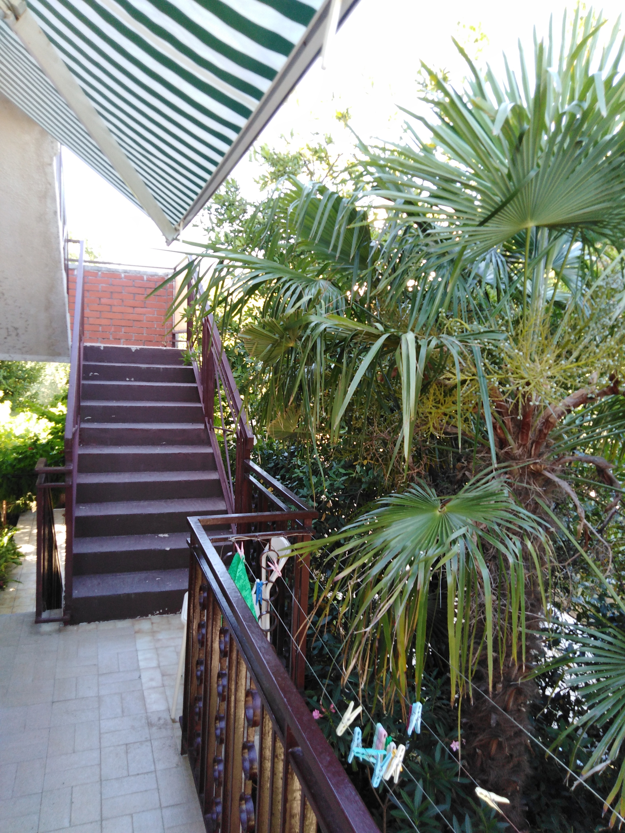 Three bedroom apartment with terrace Murter  A-a