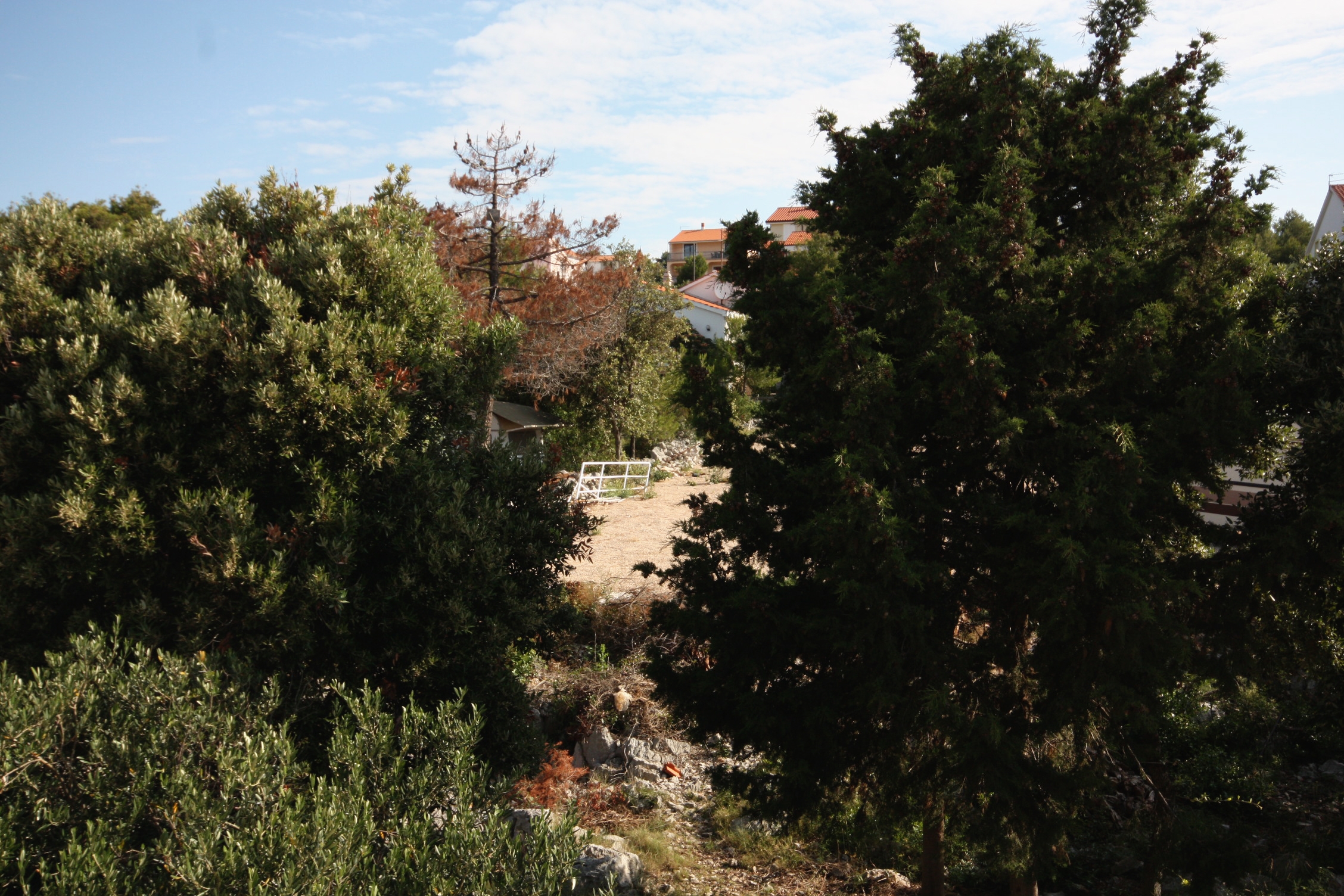Two bedroom apartment with terrace Jezera, Murter  A-a