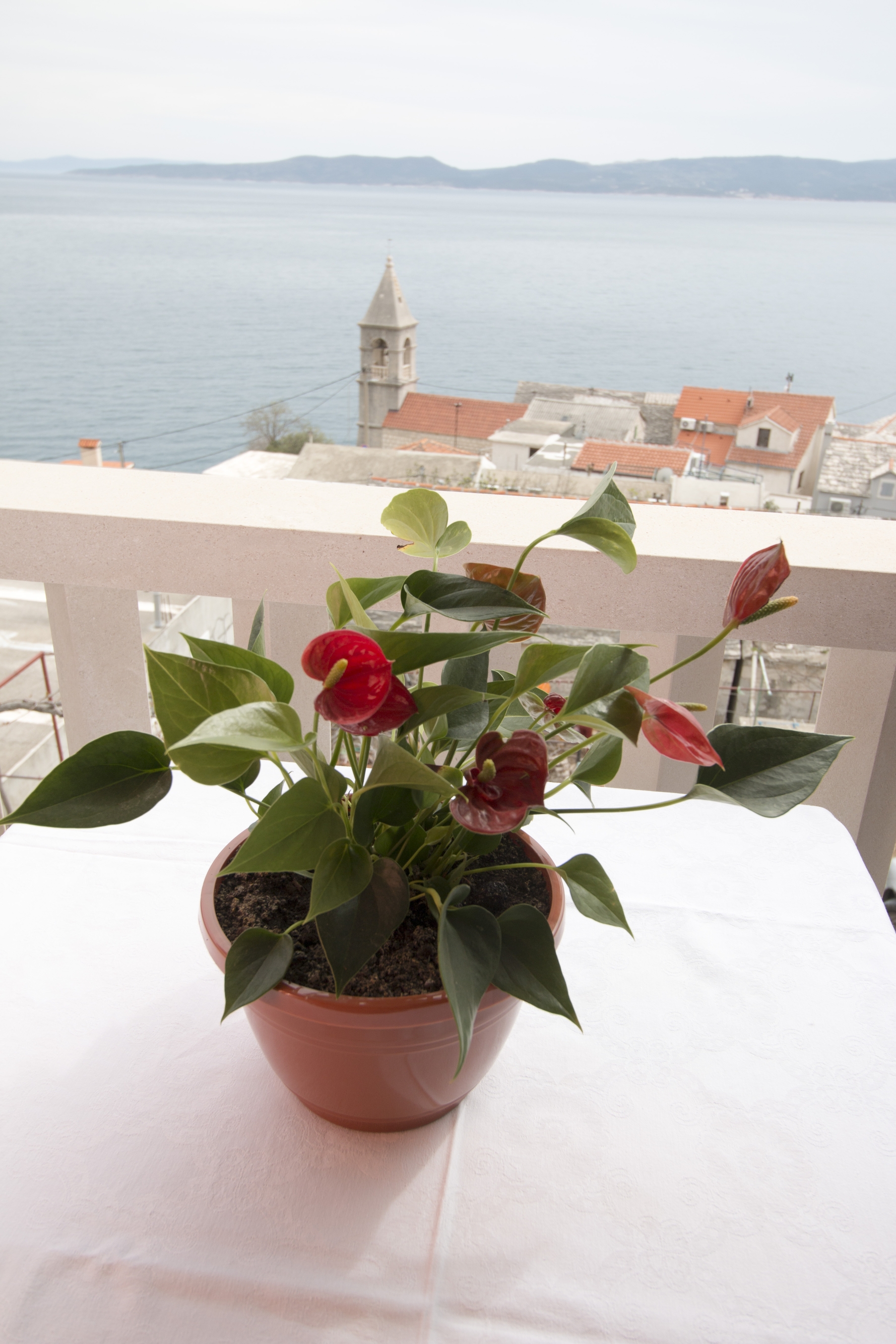 One bedroom apartment with balcony and sea view Pisak, Omiš  A-d